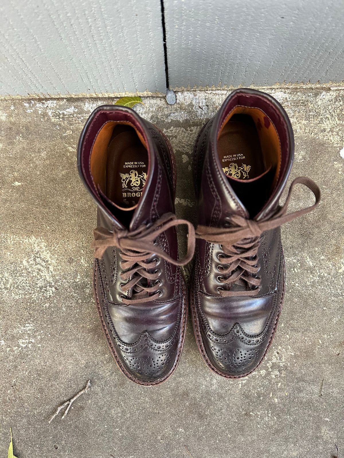 Photo by DirtyRat on November 10, 2022 of the Alden Wingtip Boot in Horween Color 8 Shell Cordovan.