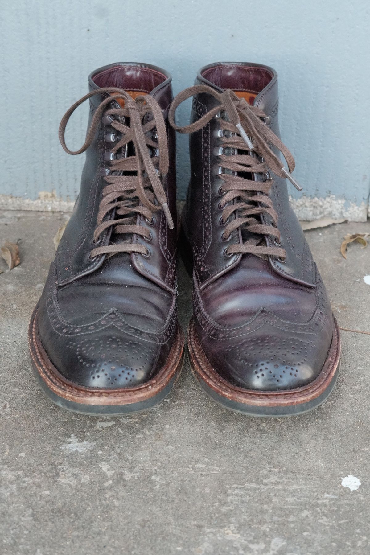 Photo by DirtyRat on December 5, 2022 of the Alden Wingtip Boot in Horween Color 8 Shell Cordovan.