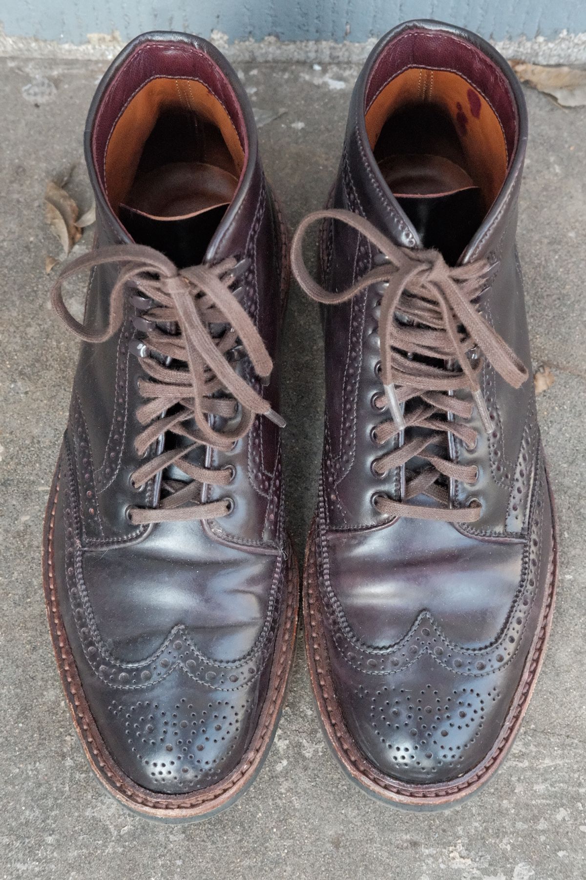 Photo by DirtyRat on December 5, 2022 of the Alden Wingtip Boot in Horween Color 8 Shell Cordovan.