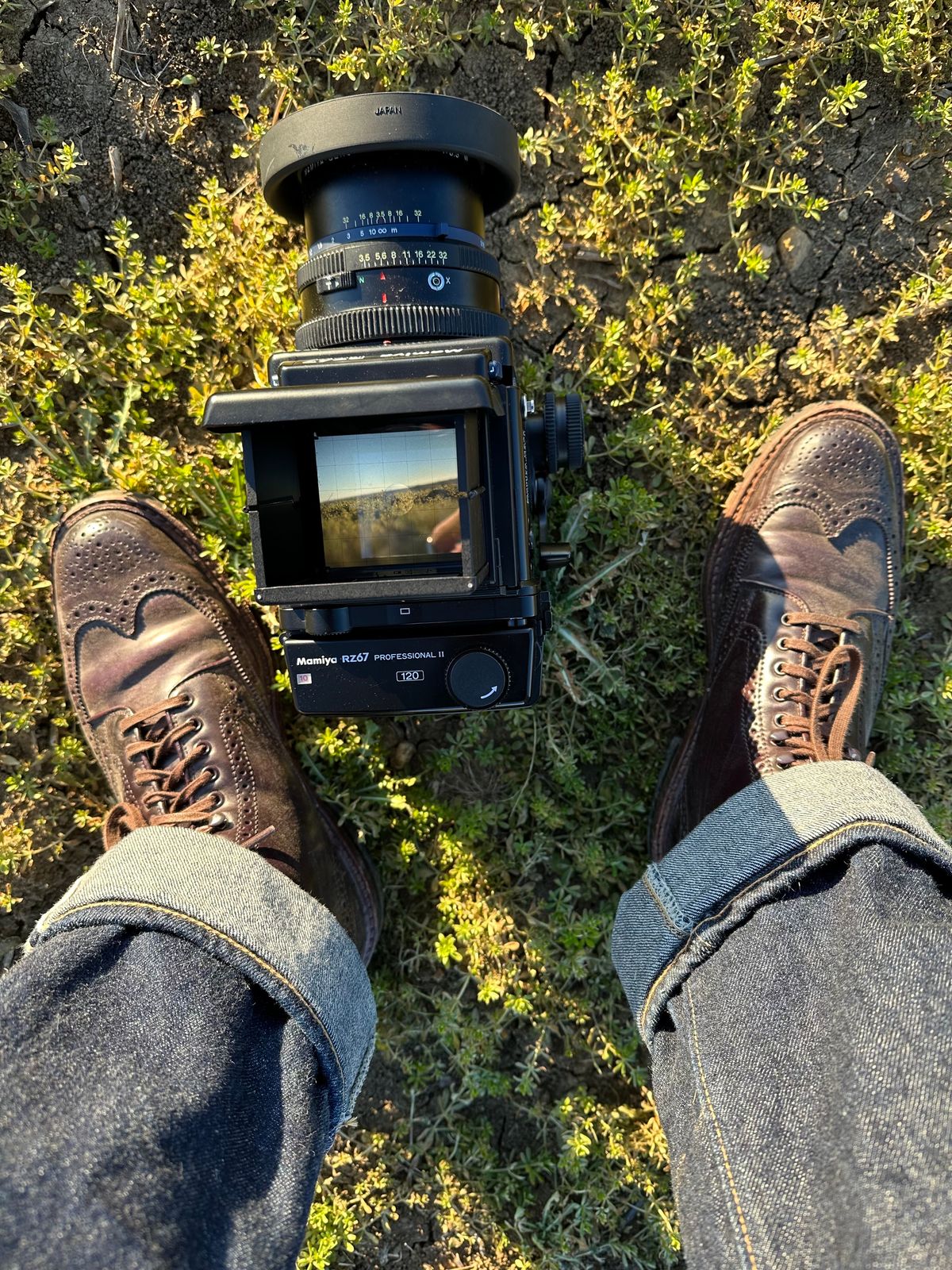 Photo by DirtyRat on January 6, 2023 of the Alden Wingtip Boot in Horween Color 8 Shell Cordovan.