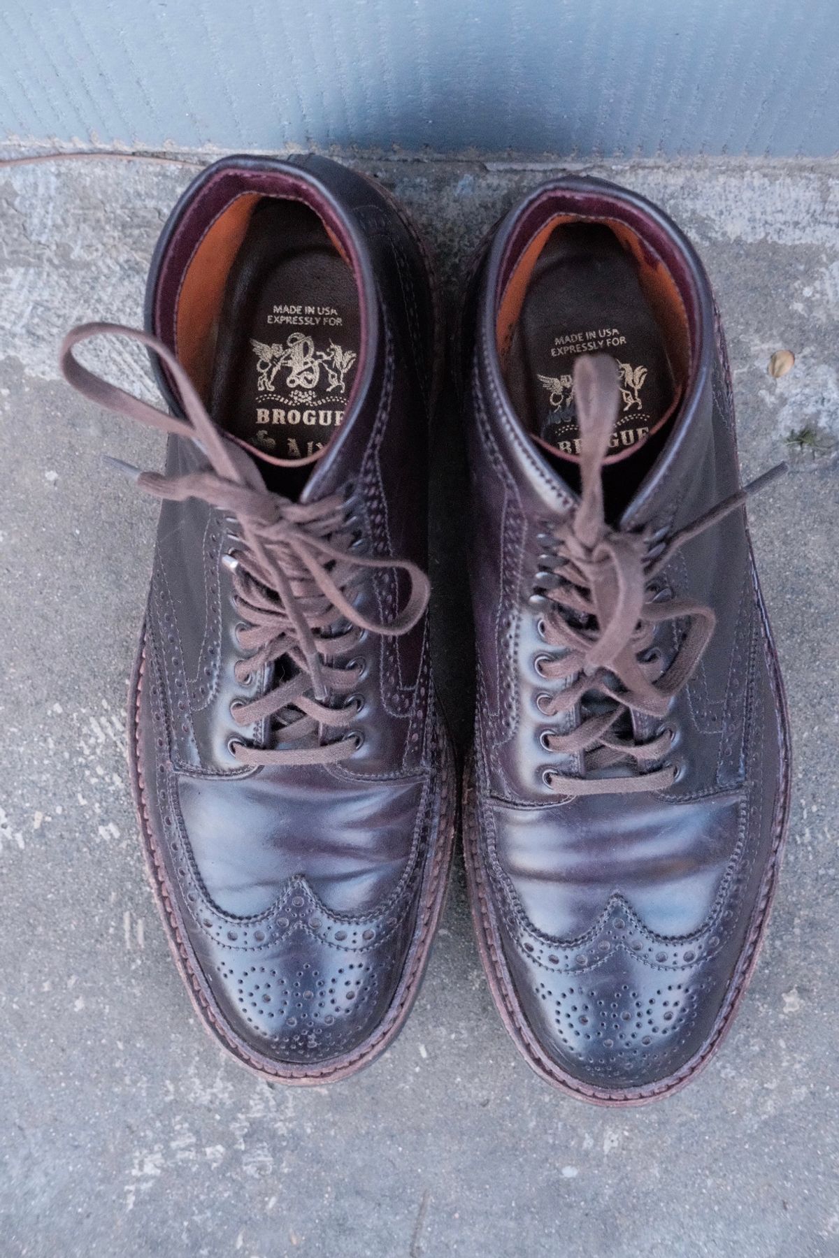 Photo by DirtyRat on January 6, 2023 of the Alden Wingtip Boot in Horween Color 8 Shell Cordovan.