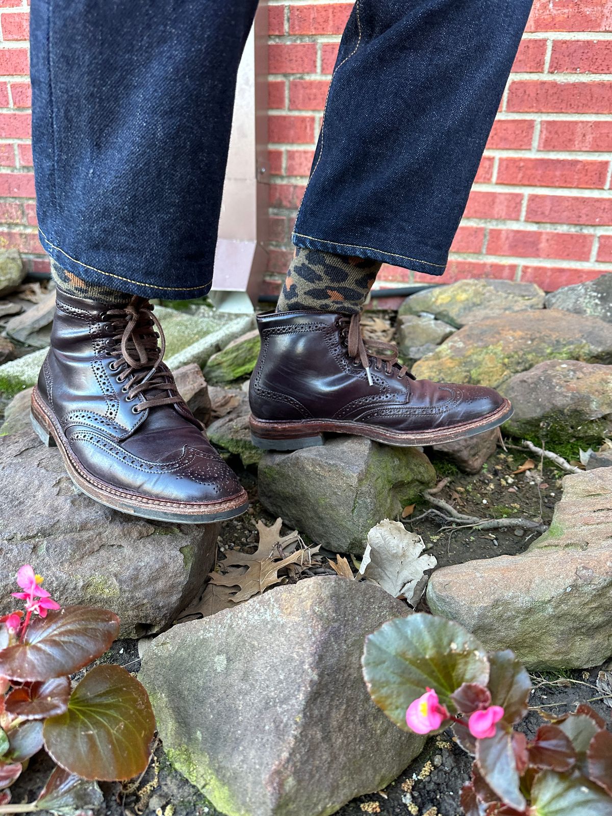 Photo by DirtyRat on April 6, 2023 of the Alden Wingtip Boot in Horween Color 8 Shell Cordovan.