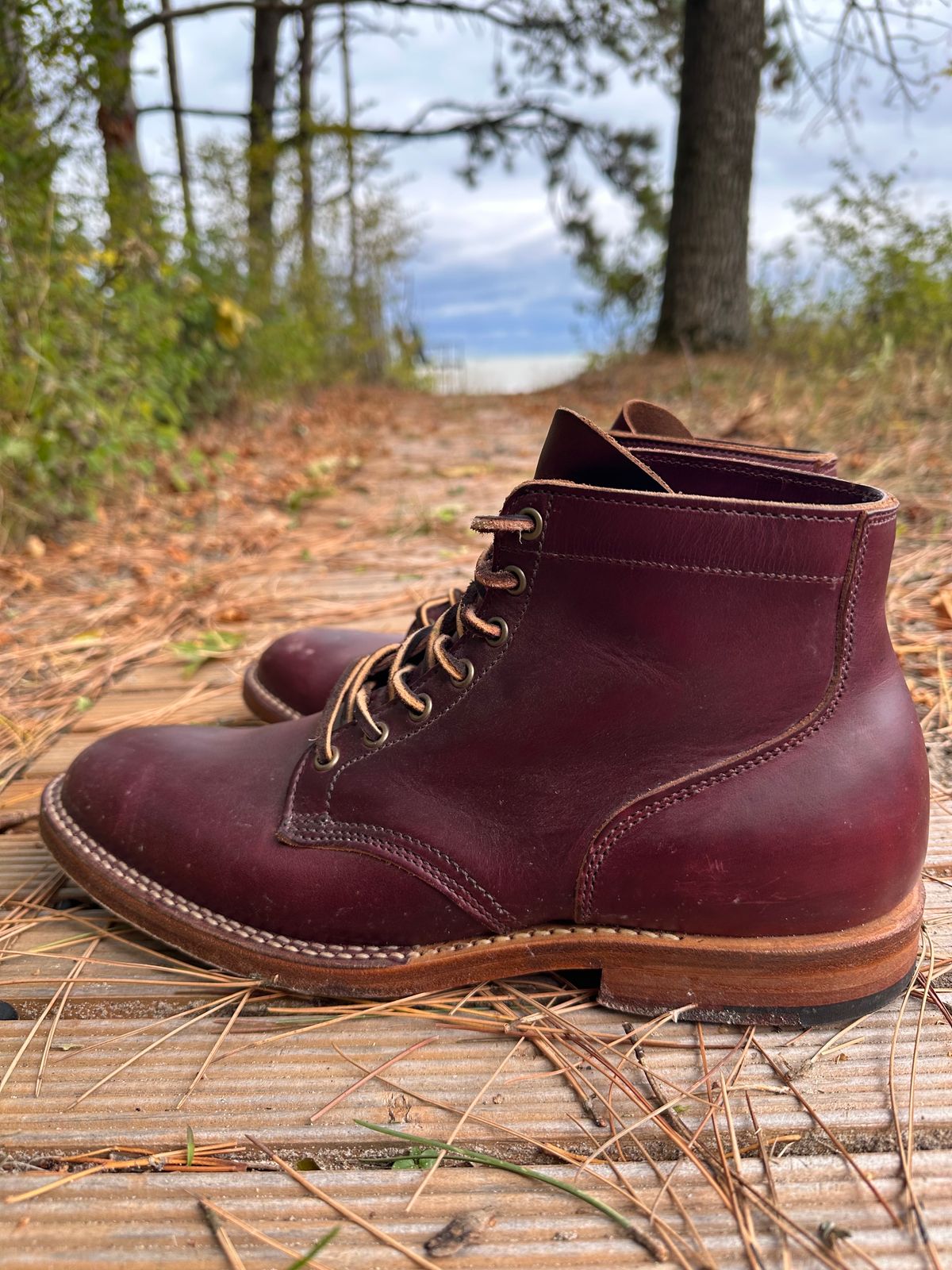 Photo by babu on November 9, 2023 of the Viberg Service Boot in Horween Color 8 Chromexcel.