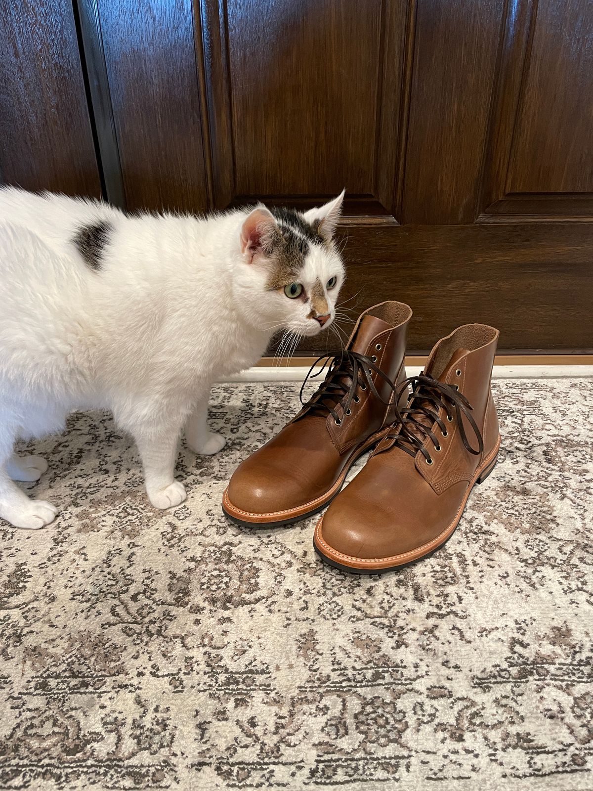 Photo by cstowe2120 on October 1, 2022 of the Oak Street Bootmakers Field Boot in Horween Natural Chromexcel.