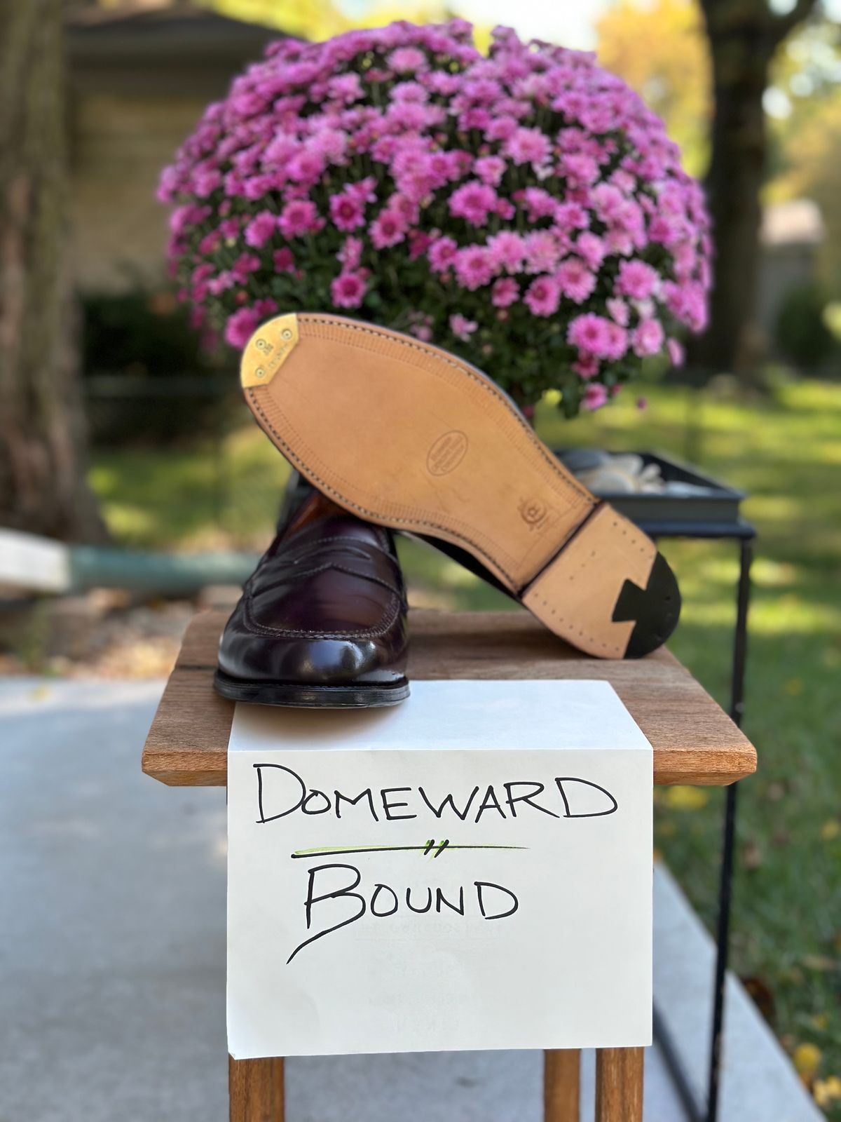 Photo by NoDadBod81 on October 2, 2023 of the Alden Leisure Handsewn Penny Loafer in Horween Color 8 Shell Cordovan.