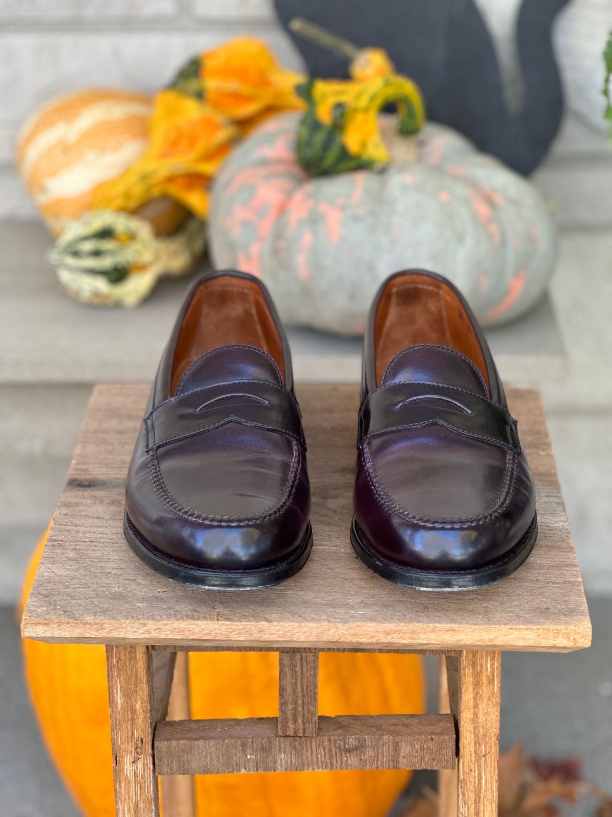 Photo by NoDadBod81 on November 5, 2023 of the Alden Leisure Handsewn Penny Loafer in Horween Color 8 Shell Cordovan.