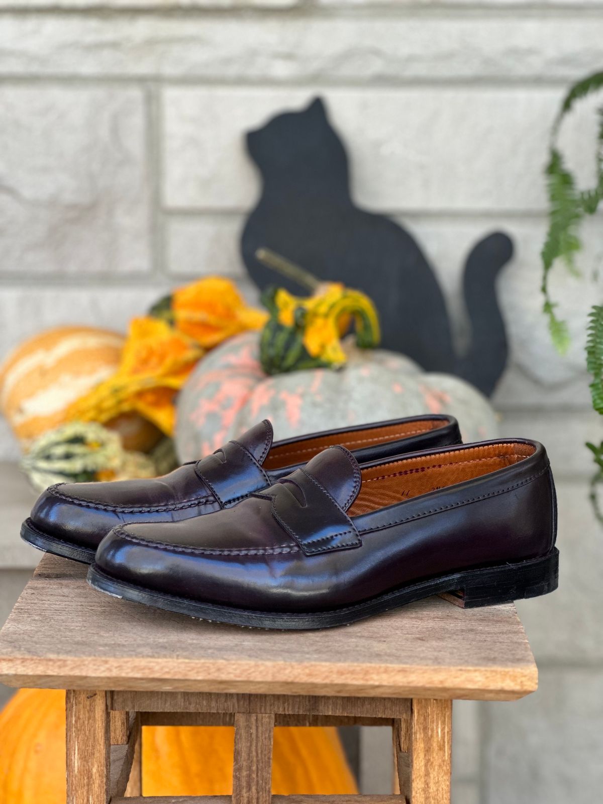 Photo by NoDadBod81 on November 5, 2023 of the Alden Leisure Handsewn Penny Loafer in Horween Color 8 Shell Cordovan.