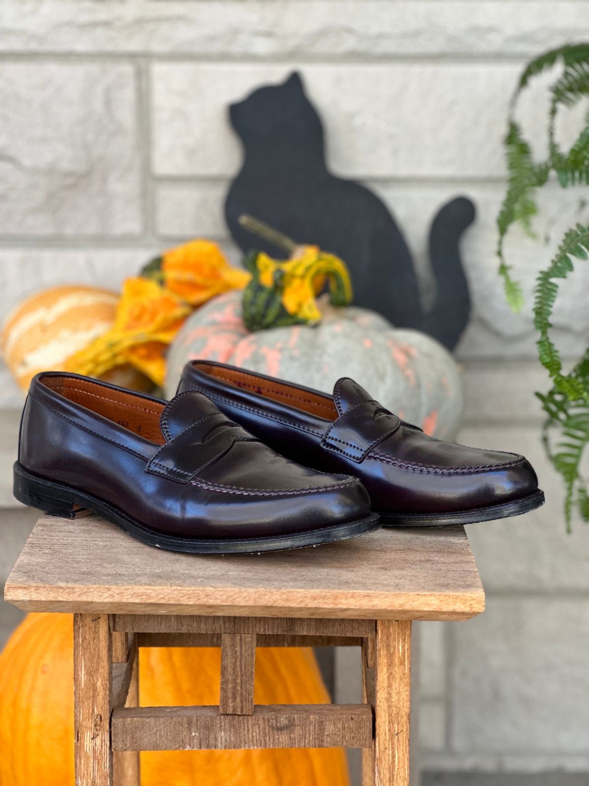 Photo by NoDadBod81 on November 5, 2023 of the Alden Leisure Handsewn Penny Loafer in Horween Color 8 Shell Cordovan.