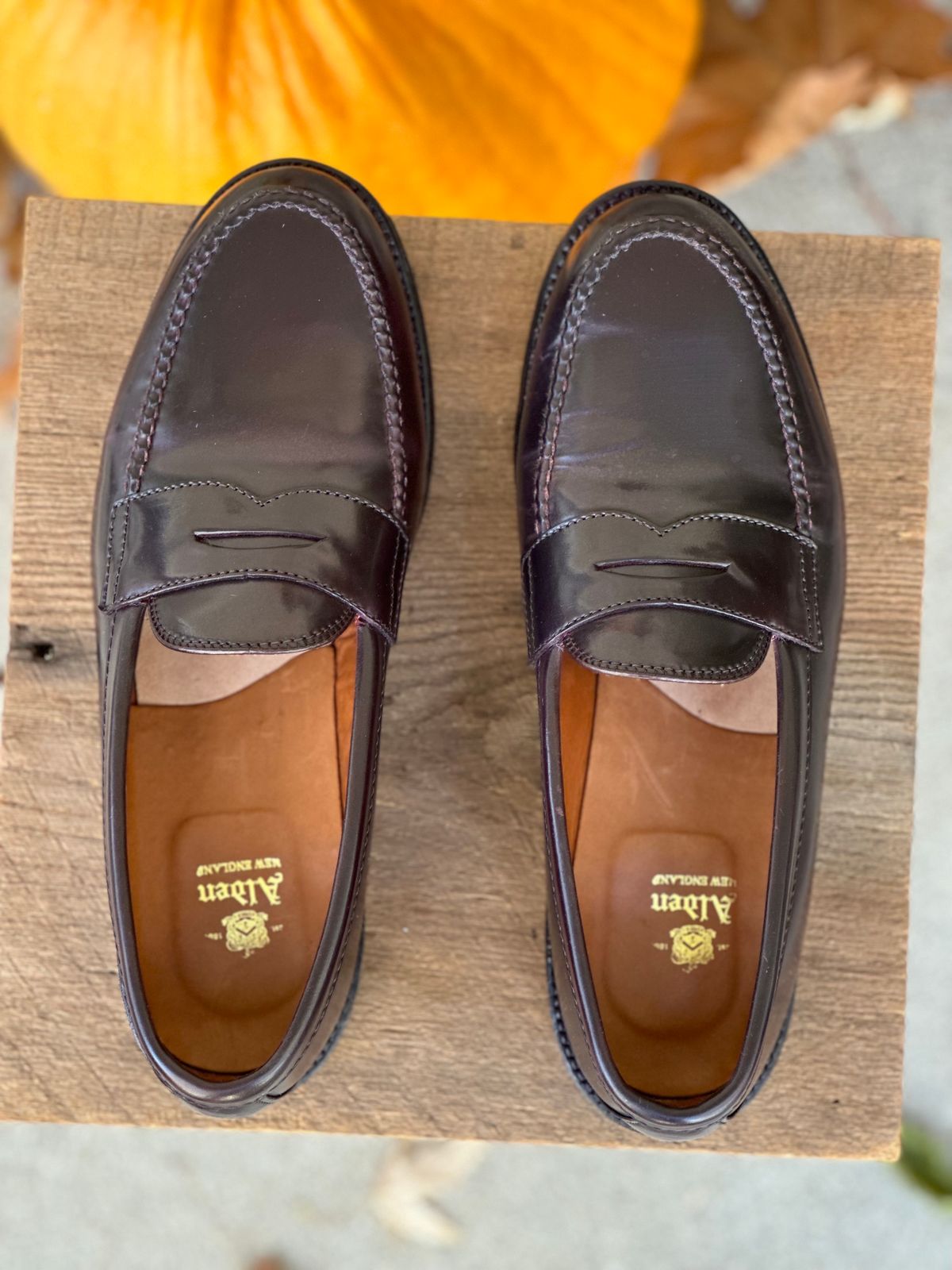 Photo by NoDadBod81 on November 5, 2023 of the Alden Leisure Handsewn Penny Loafer in Horween Color 8 Shell Cordovan.