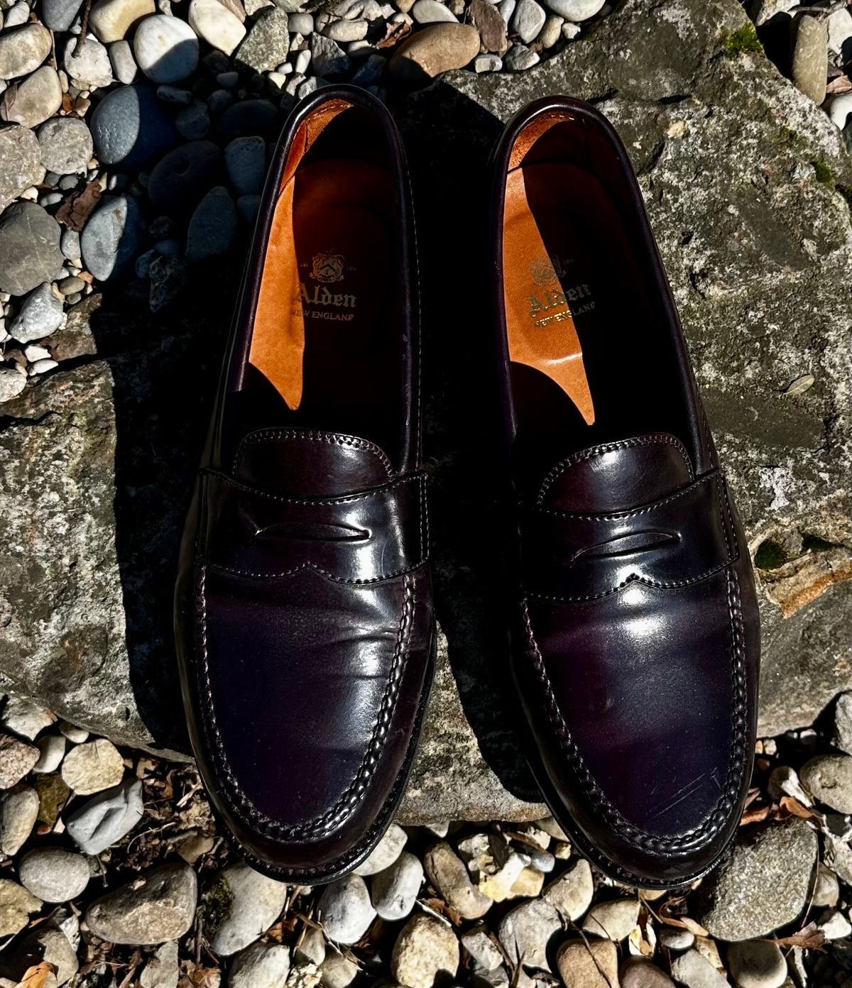 Photo by NoDadBod81 on February 5, 2024 of the Alden Leisure Handsewn Penny Loafer in Horween Color 8 Shell Cordovan.