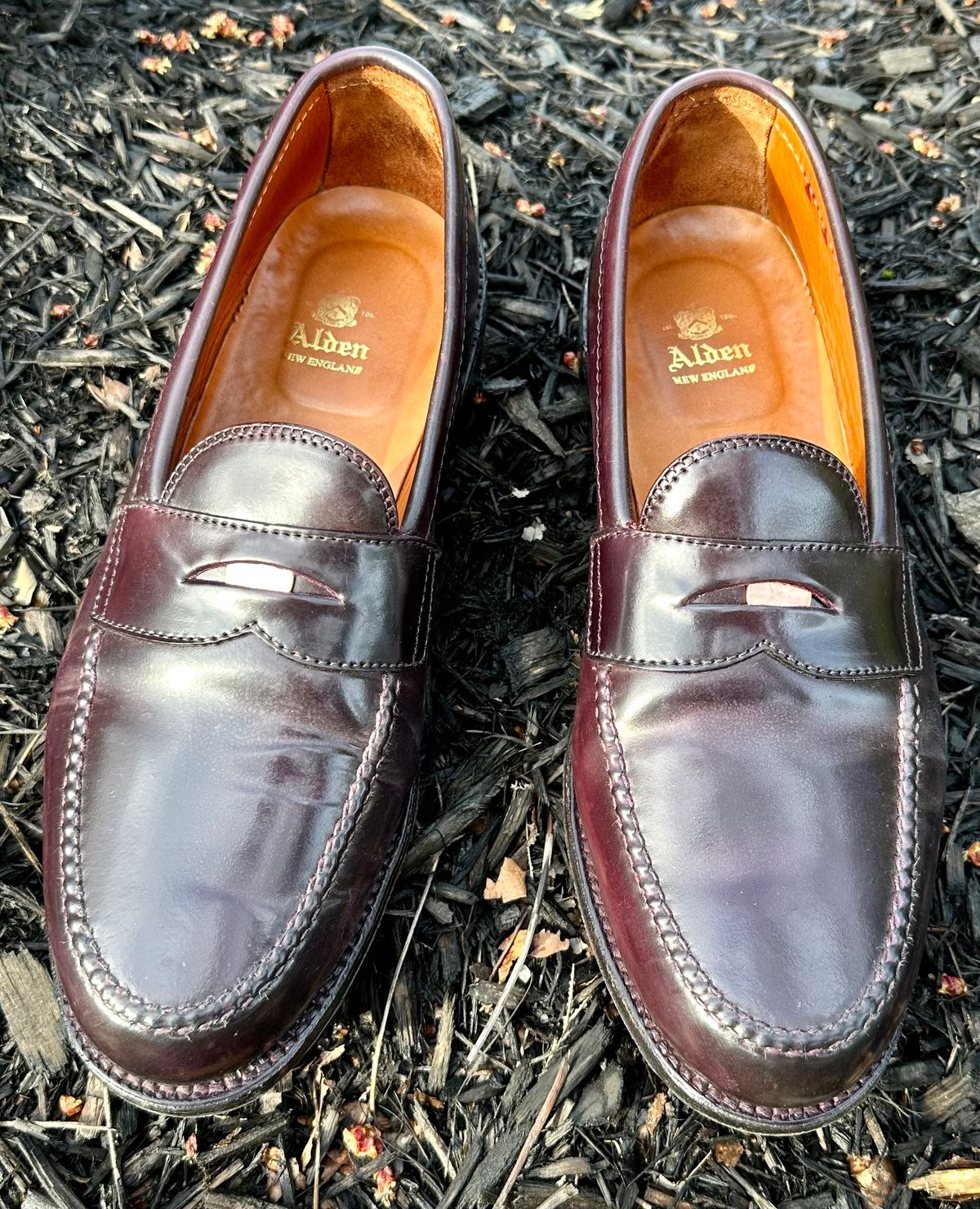 Photo by NoDadBod81 on March 5, 2024 of the Alden Leisure Handsewn Penny Loafer in Horween Color 8 Shell Cordovan.