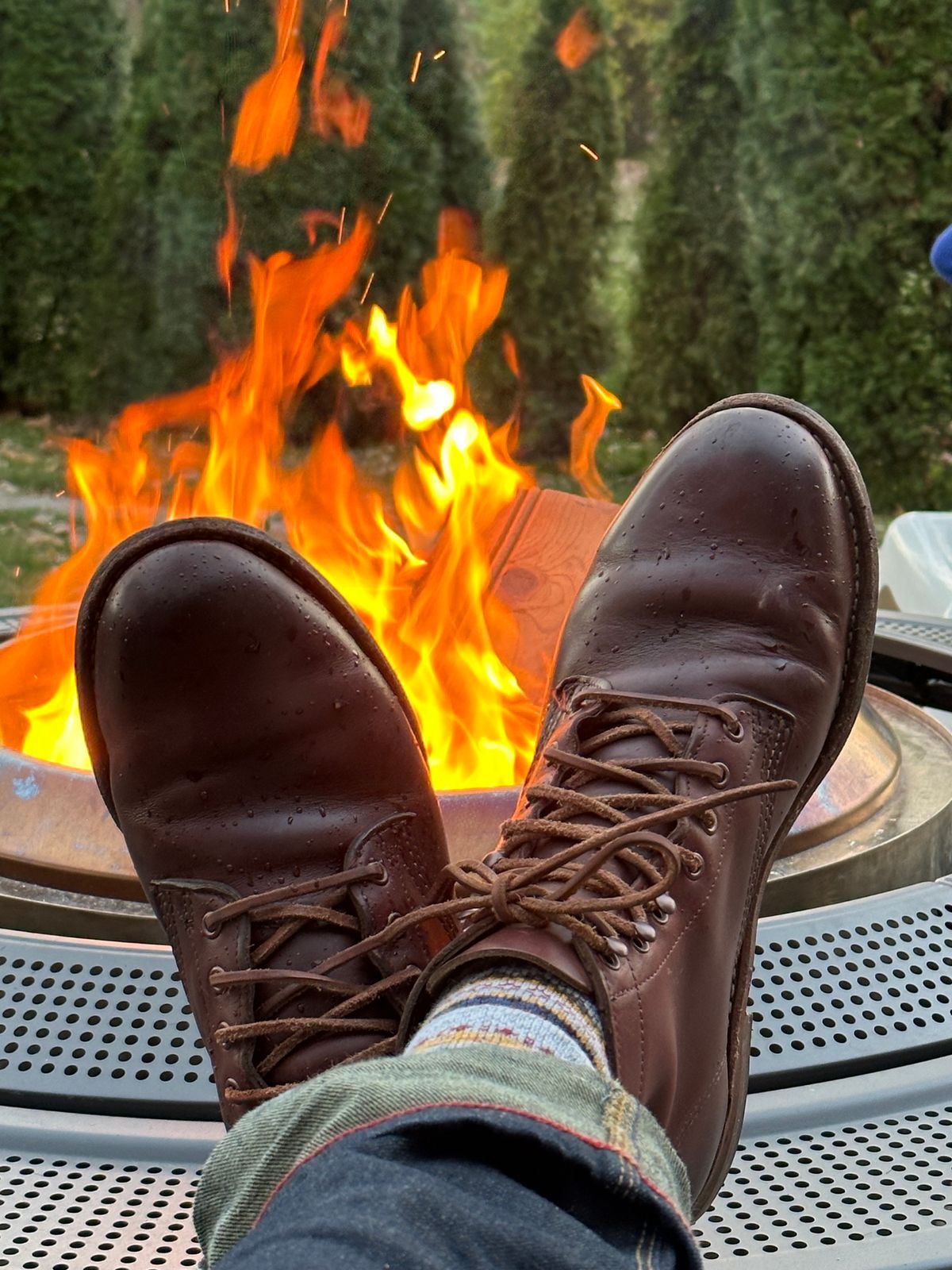 Photo by NoDadBod81 on November 10, 2023 of the Wolverine 1000 Mile Plain-Toe Boot in Horween Color 8 Chromexcel.