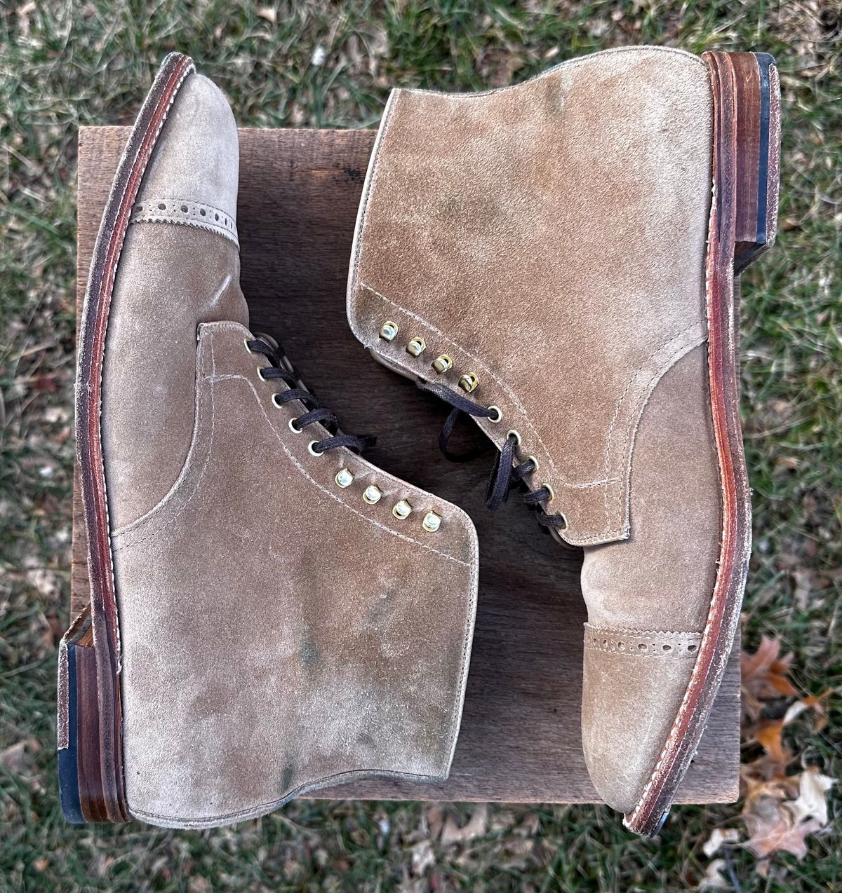 Photo by NoDadBod81 on January 4, 2024 of the Alden x Leffot Cooney Boot in Tan Suede.