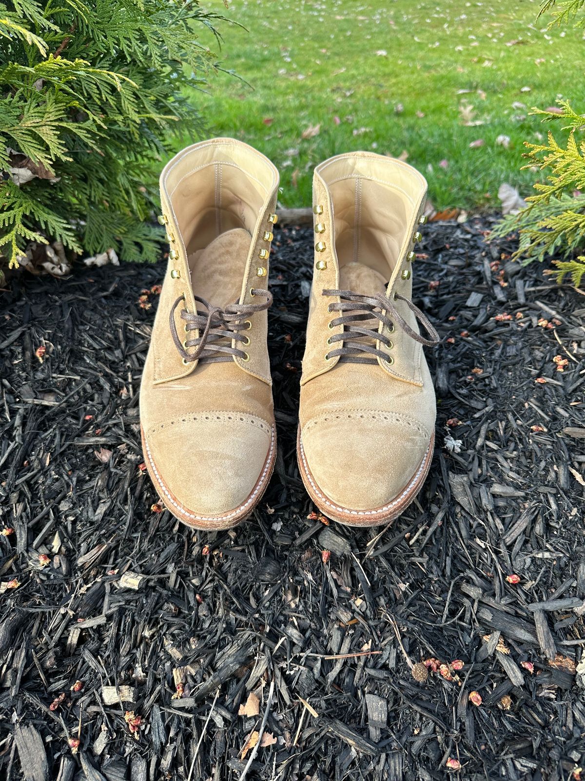 Photo by NoDadBod81 on March 5, 2024 of the Alden x Leffot Cooney Boot in Tan Suede.