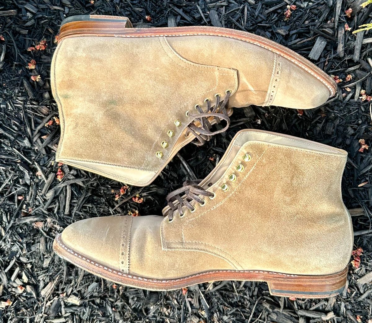 Photo by NoDadBod81 on March 5, 2024 of the Alden x Leffot Cooney Boot in Tan Suede.