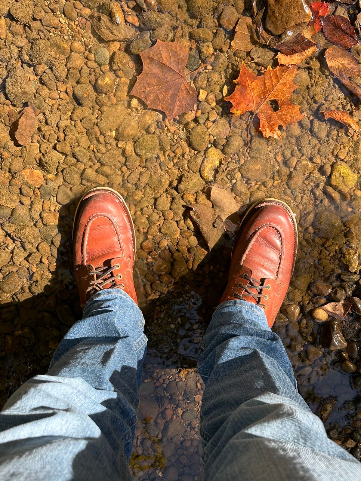 Photo by NoDadBod81 on October 12, 2023 of the Grant Stone Brass Boot in Badalassi Carlo Saddle Tan Minerva.