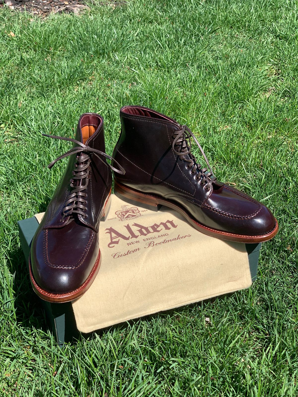 Photo by NoDadBod81 on April 12, 2023 of the Alden Indy Boot in Horween Color 8 Shell Cordovan.