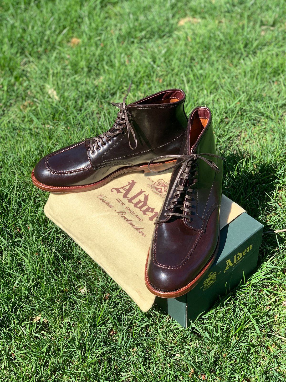 Photo by NoDadBod81 on April 12, 2023 of the Alden Indy Boot in Horween Color 8 Shell Cordovan.