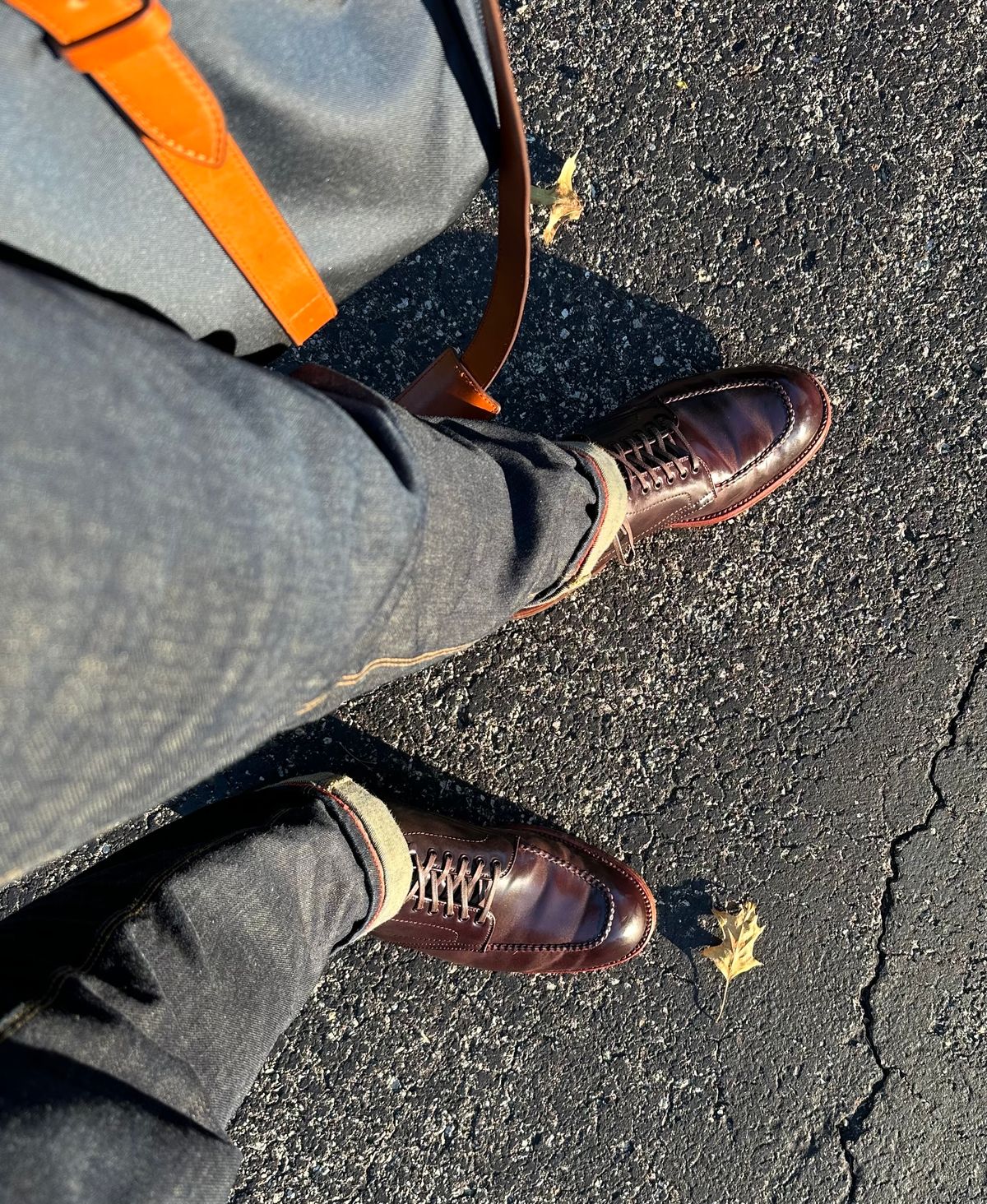 Photo by NoDadBod81 on September 14, 2023 of the Alden Indy Boot in Horween Color 8 Shell Cordovan.