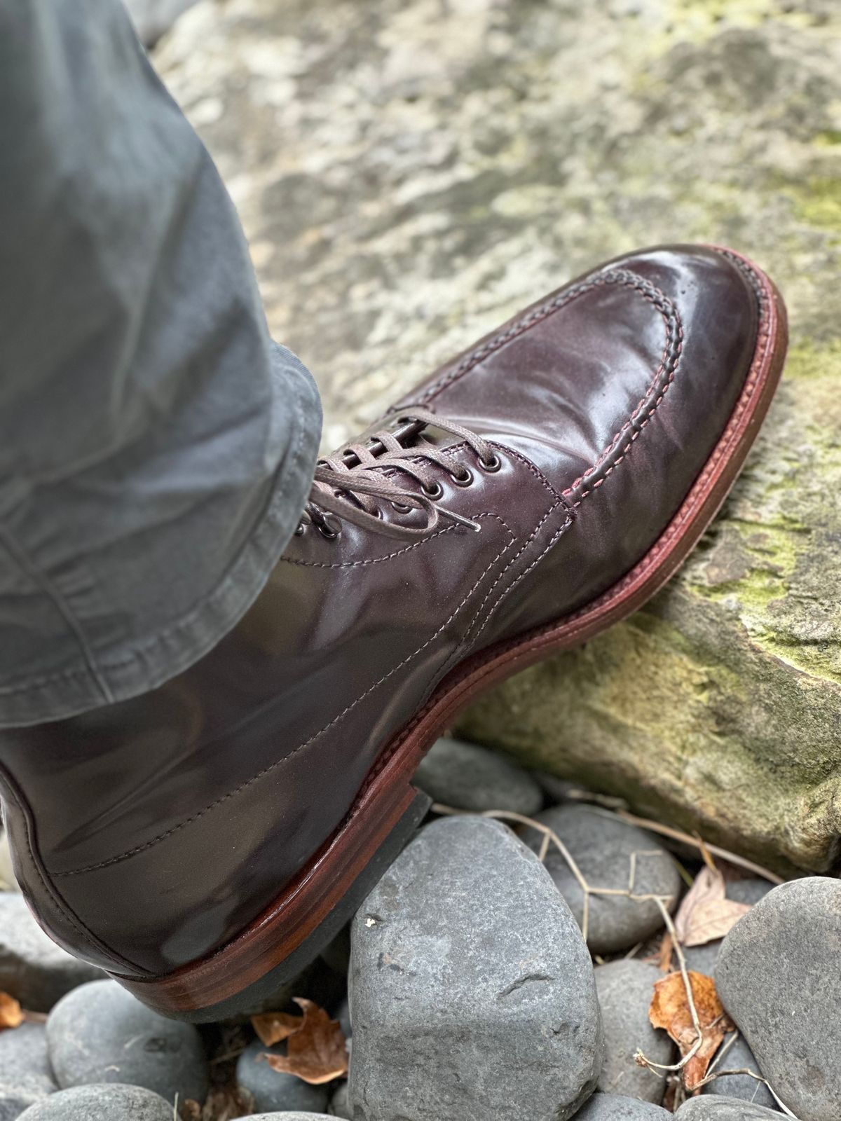 Photo by NoDadBod81 on September 17, 2023 of the Alden Indy Boot in Horween Color 8 Shell Cordovan.