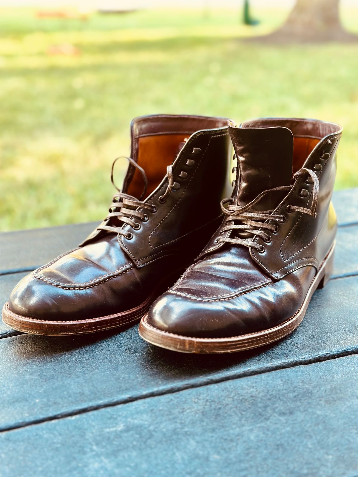 Photo by NoDadBod81 on September 4, 2024 of the Alden Indy Boot in Horween Color 8 Shell Cordovan.