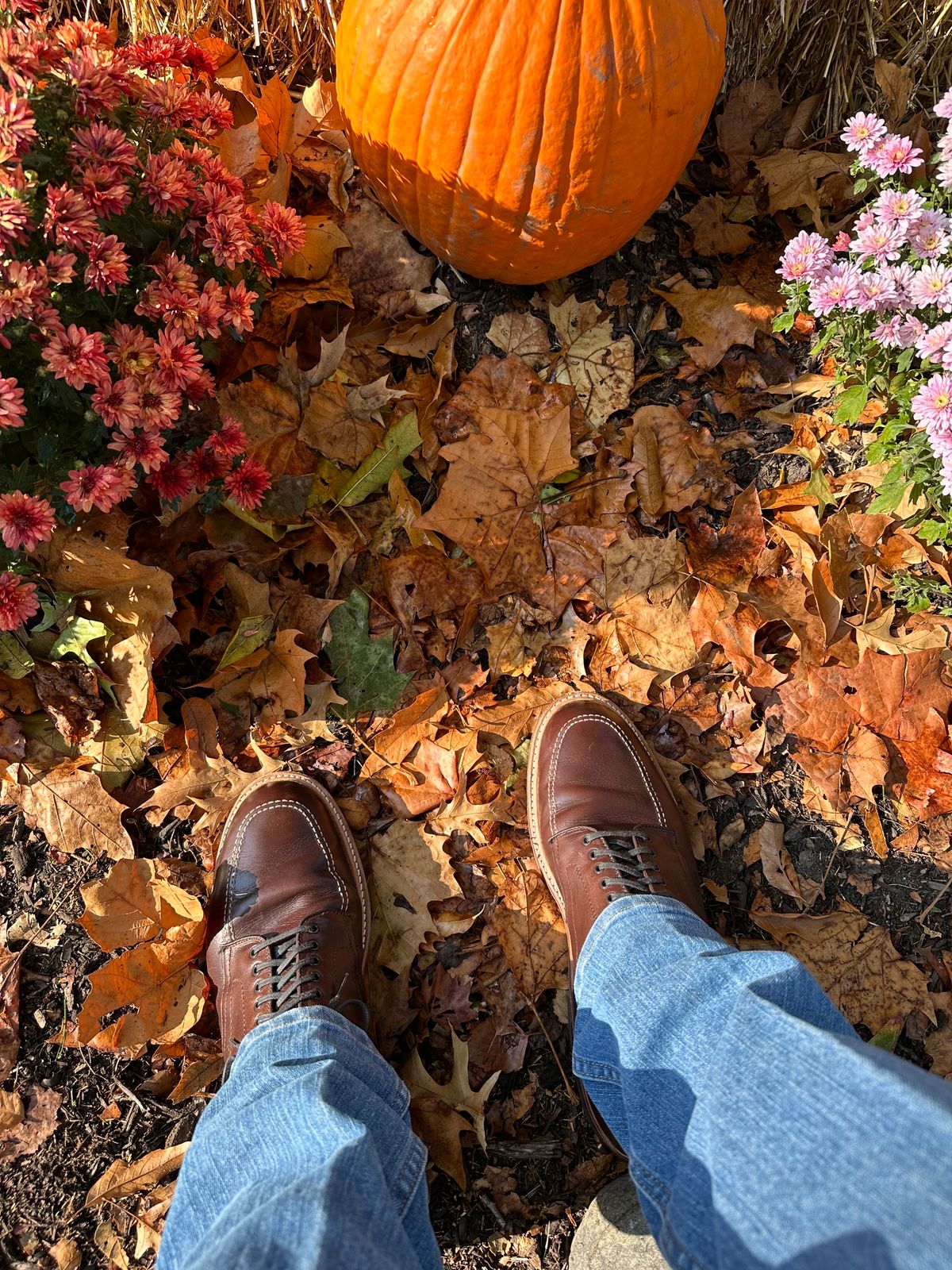 Photo by NoDadBod81 on October 12, 2023 of the Alden Indy Boot in Horween Brown Chromexcel.