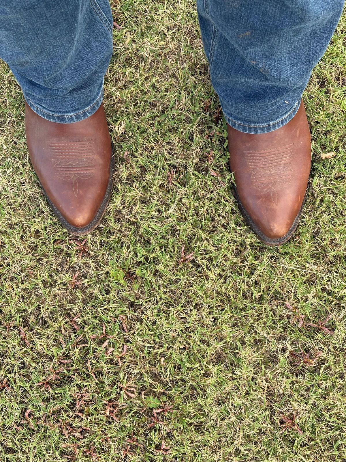 Photo by csburkhalter on October 9, 2025 of the Kemo Sabe Grit (JB Hill) Brandable Cowboy Boot in Chocolate Ranch Hand.