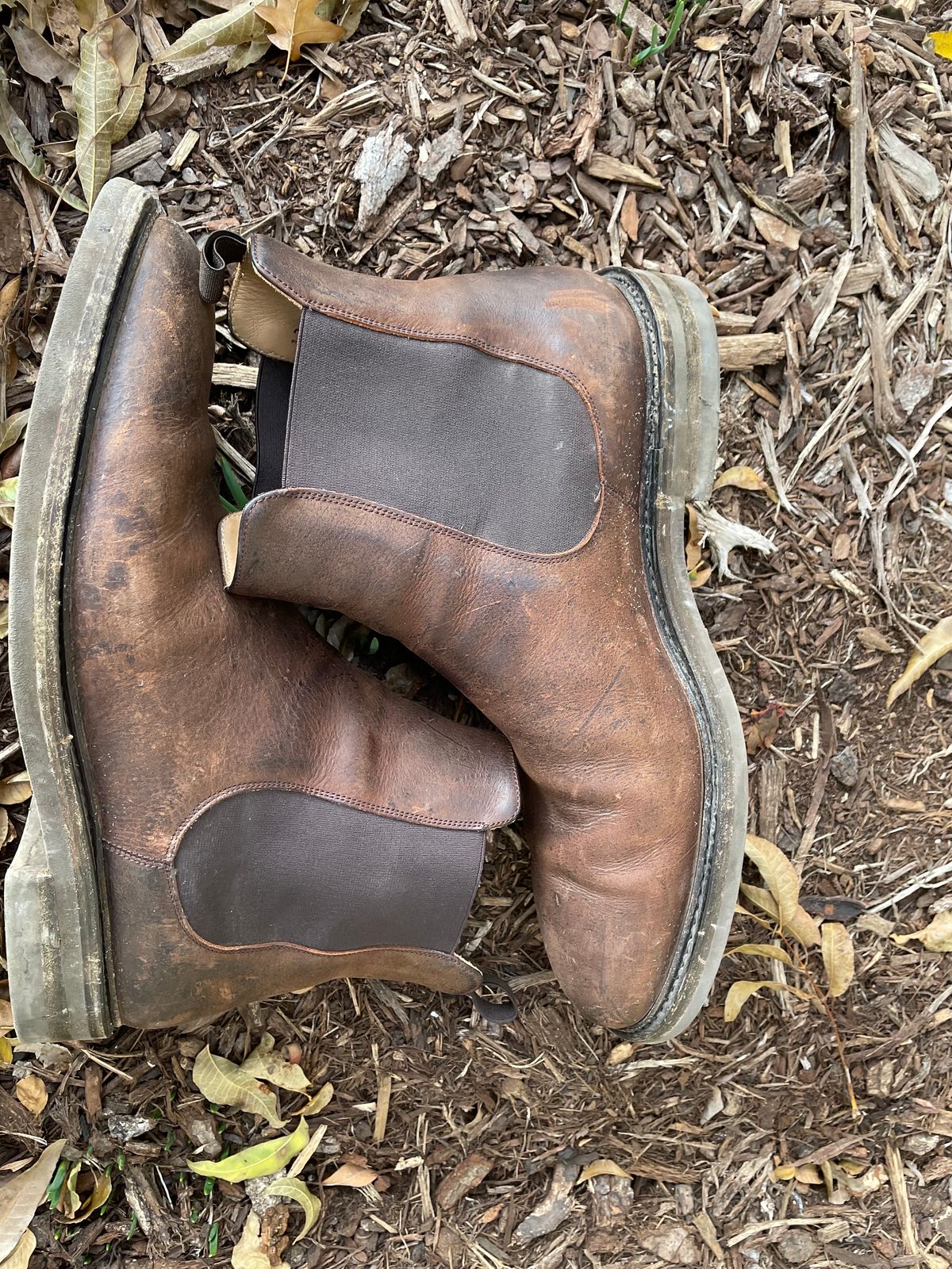 Photo by csburkhalter on December 5, 2022 of the Rider Boot Co. Fritz in C.F. Stead Snuff Waxed Kudu.
