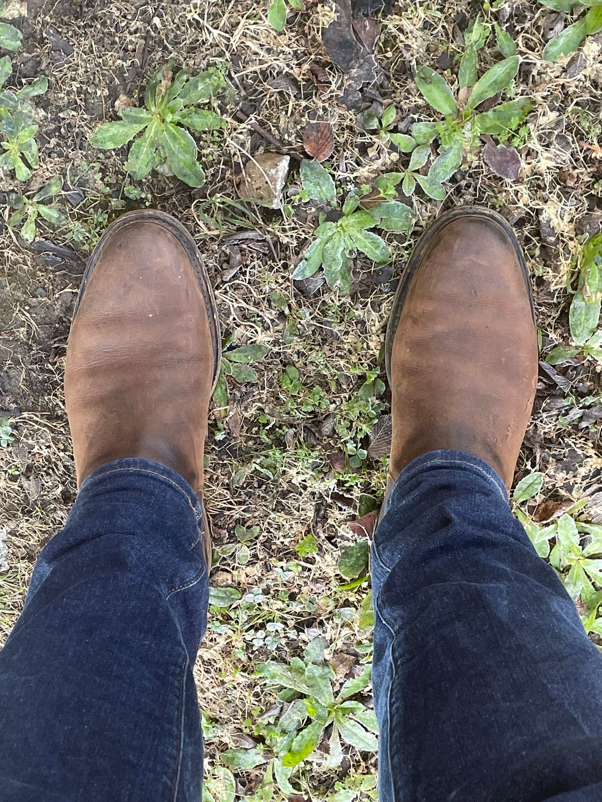Photo by csburkhalter on February 4, 2023 of the Rider Boot Co. Fritz in C.F. Stead Snuff Waxed Kudu.