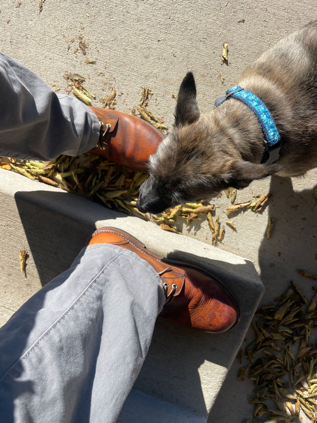 Photo by joem2 on November 19, 2023 of the Oak Street Bootmakers Trench Boot in Tempesti Brown Overdye Camello Asportabile.