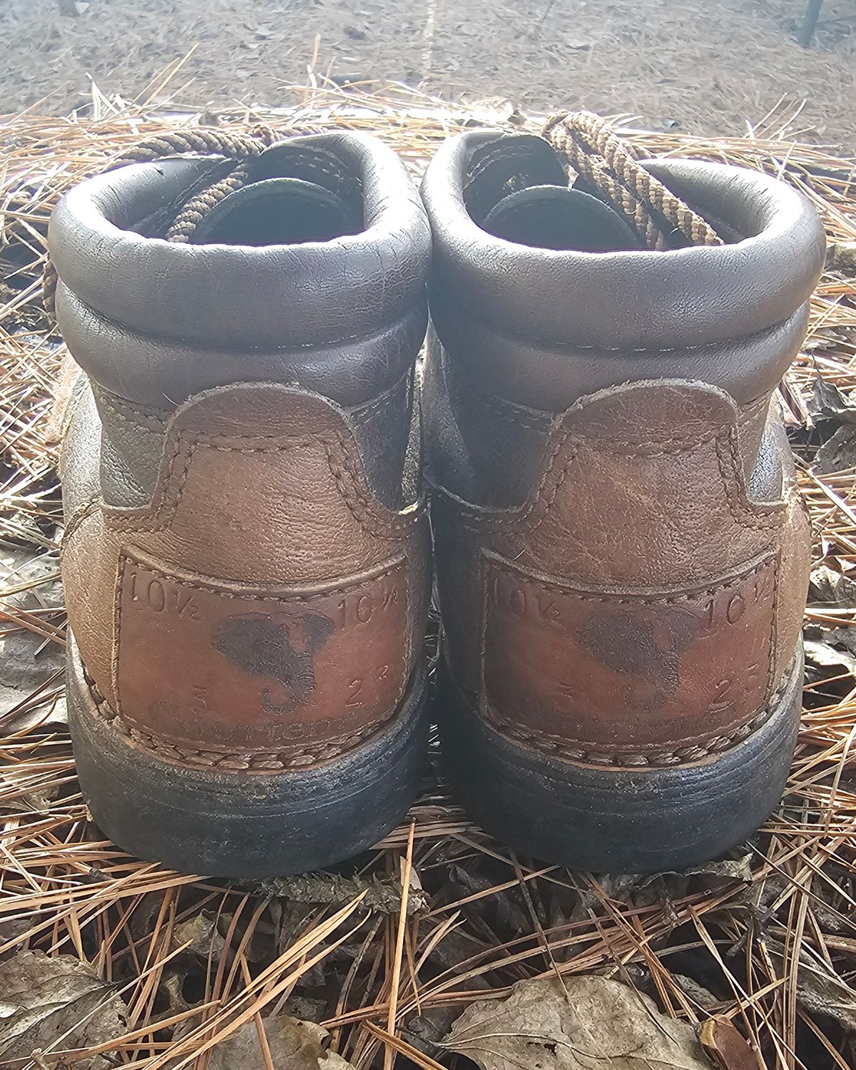 Photo by AlabamaBlacksmith on January 4, 2024 of the Westley Richards Courtney Boots Trackers in Courtney African Cape.