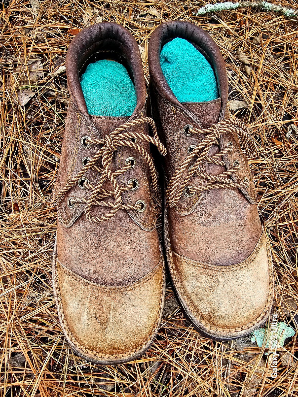 Photo by AlabamaBlacksmith on March 3, 2024 of the Westley Richards Courtney Boots Trackers in Courtney African Cape.