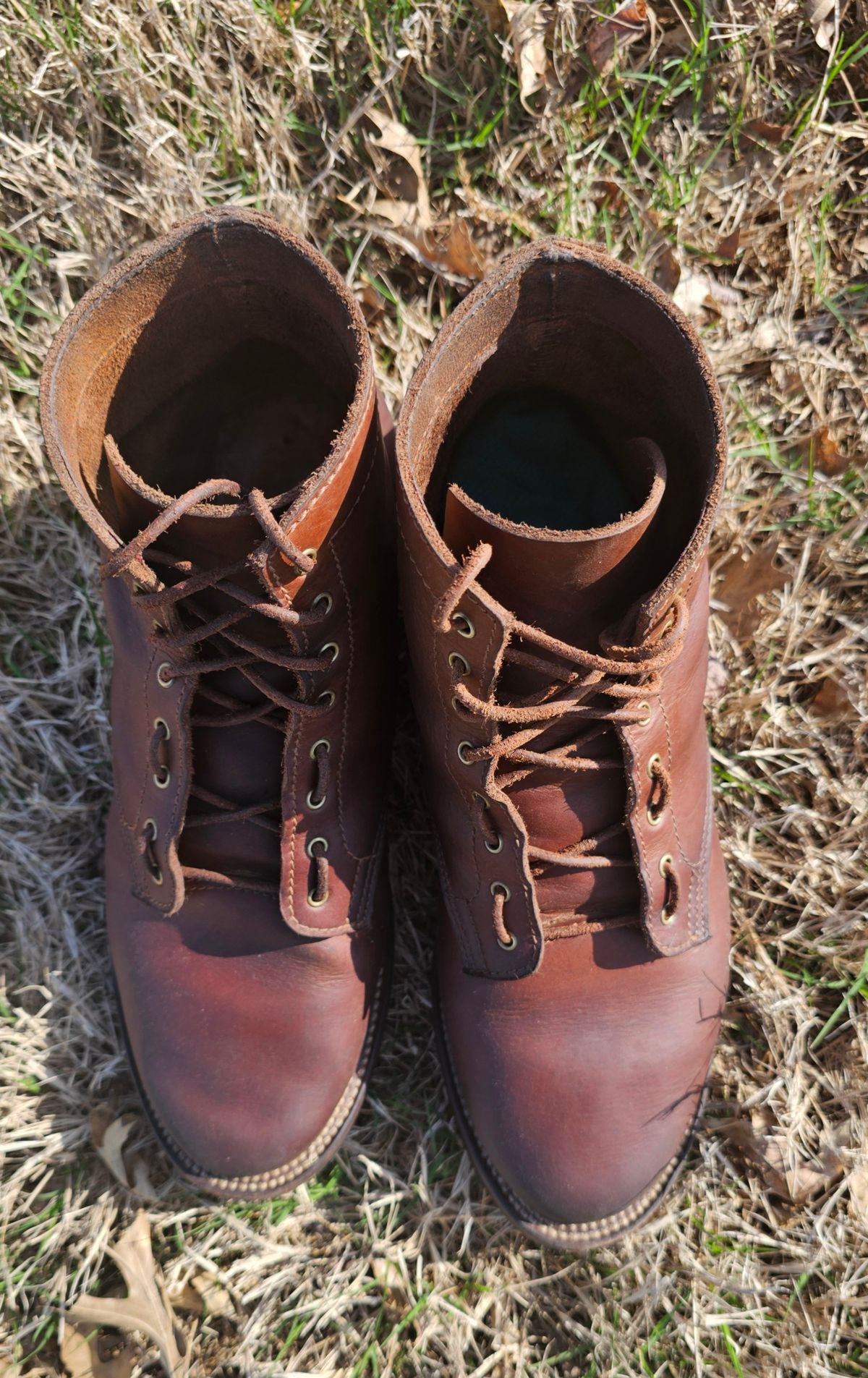 Photo by AlabamaBlacksmith on April 4, 2025 of the Oldspeed Service Boot 6” in S.B. Foot Timberjack Cedar.