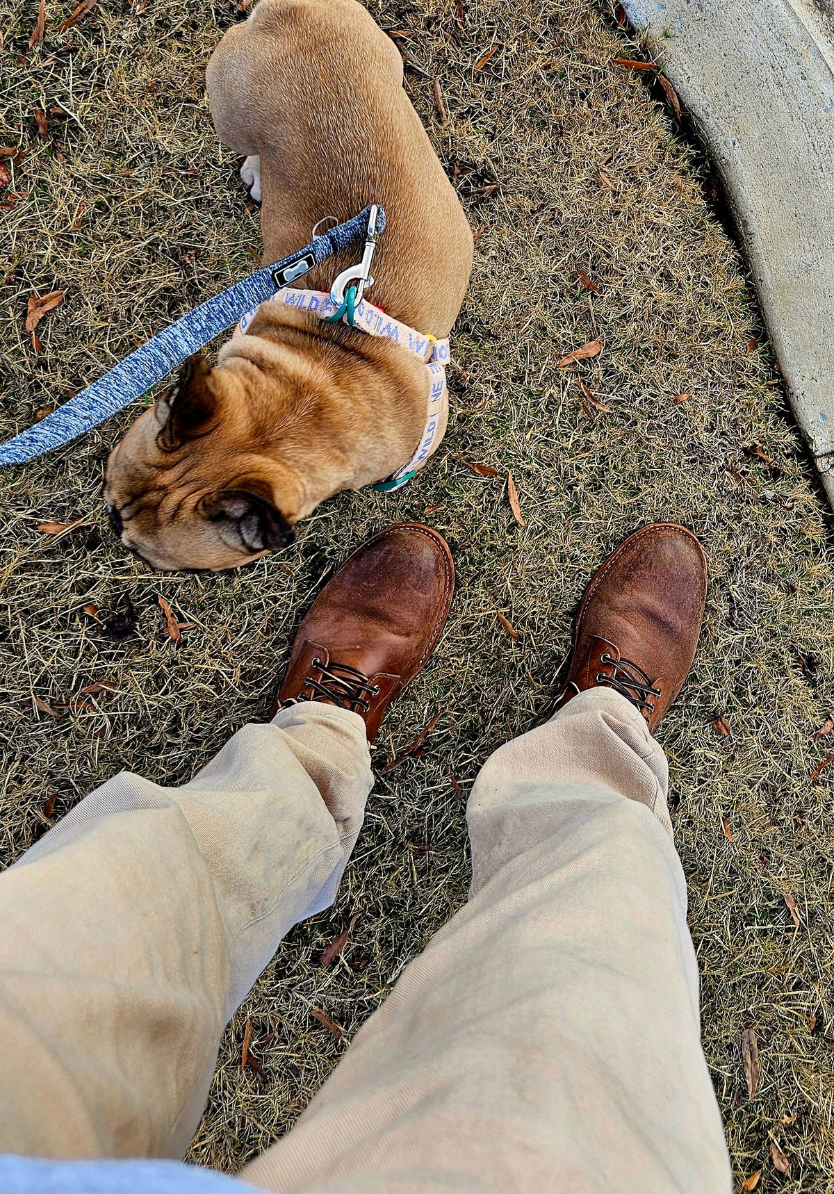 Photo by AlabamaBlacksmith on November 22, 2025 of the Oak Street Bootmakers Field Boot in MARYAM CULLATO CUVALO NATURAL REVERSE HORSE RUMP.