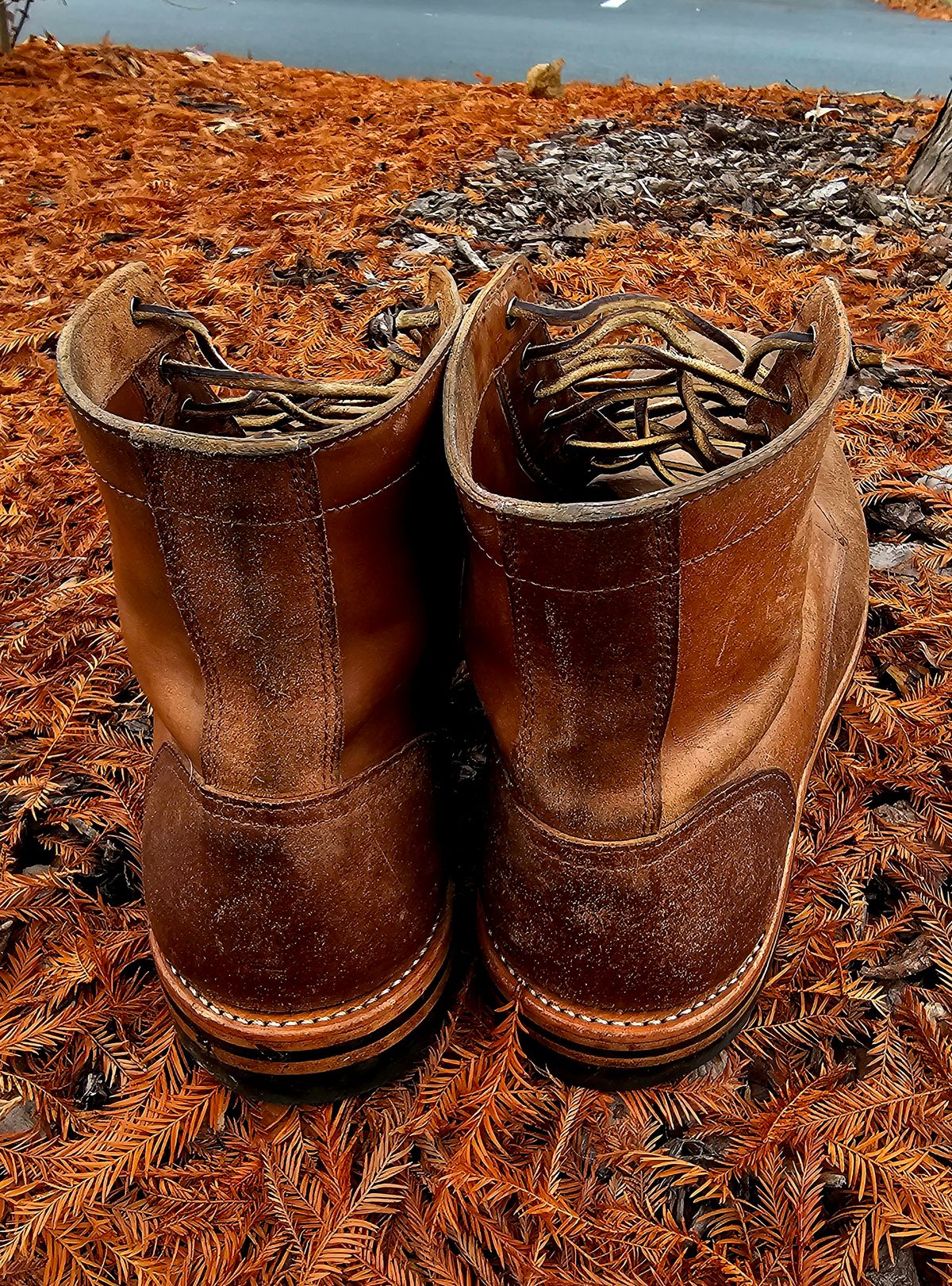 Photo by AlabamaBlacksmith on December 4, 2025 of the Oak Street Bootmakers Field Boot in MARYAM CULLATO CUVALO NATURAL REVERSE HORSE RUMP.