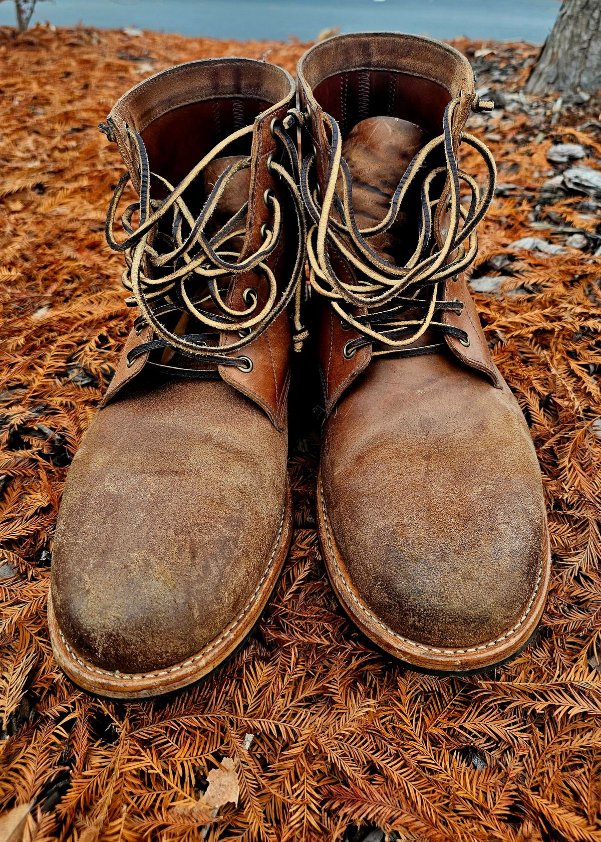 Photo by AlabamaBlacksmith on December 4, 2025 of the Oak Street Bootmakers Field Boot in MARYAM CULLATO CUVALO NATURAL REVERSE HORSE RUMP.