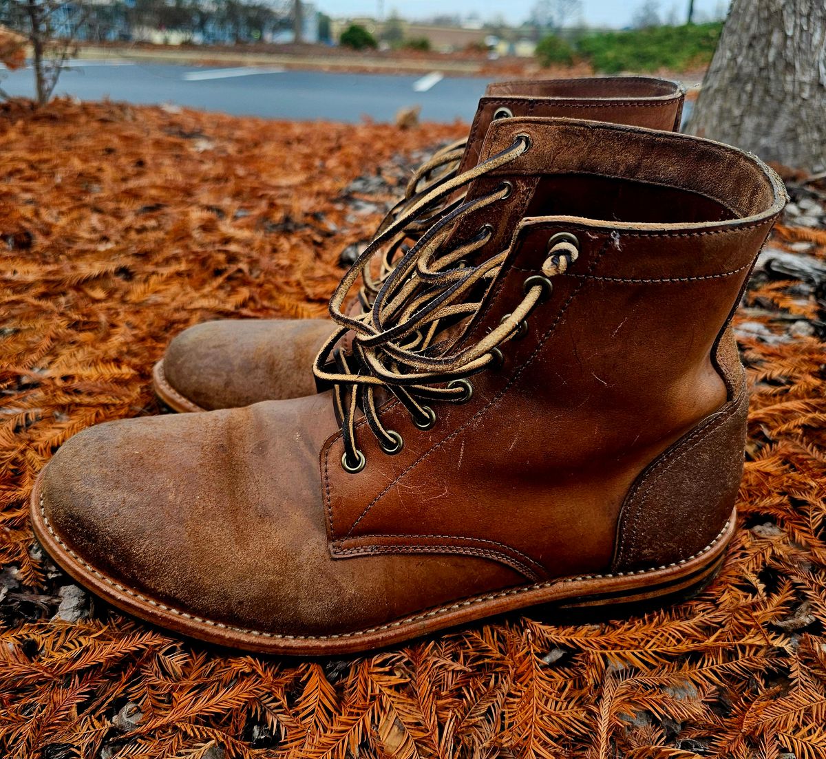 Photo by AlabamaBlacksmith on December 4, 2025 of the Oak Street Bootmakers Field Boot in MARYAM CULLATO CUVALO NATURAL REVERSE HORSE RUMP.