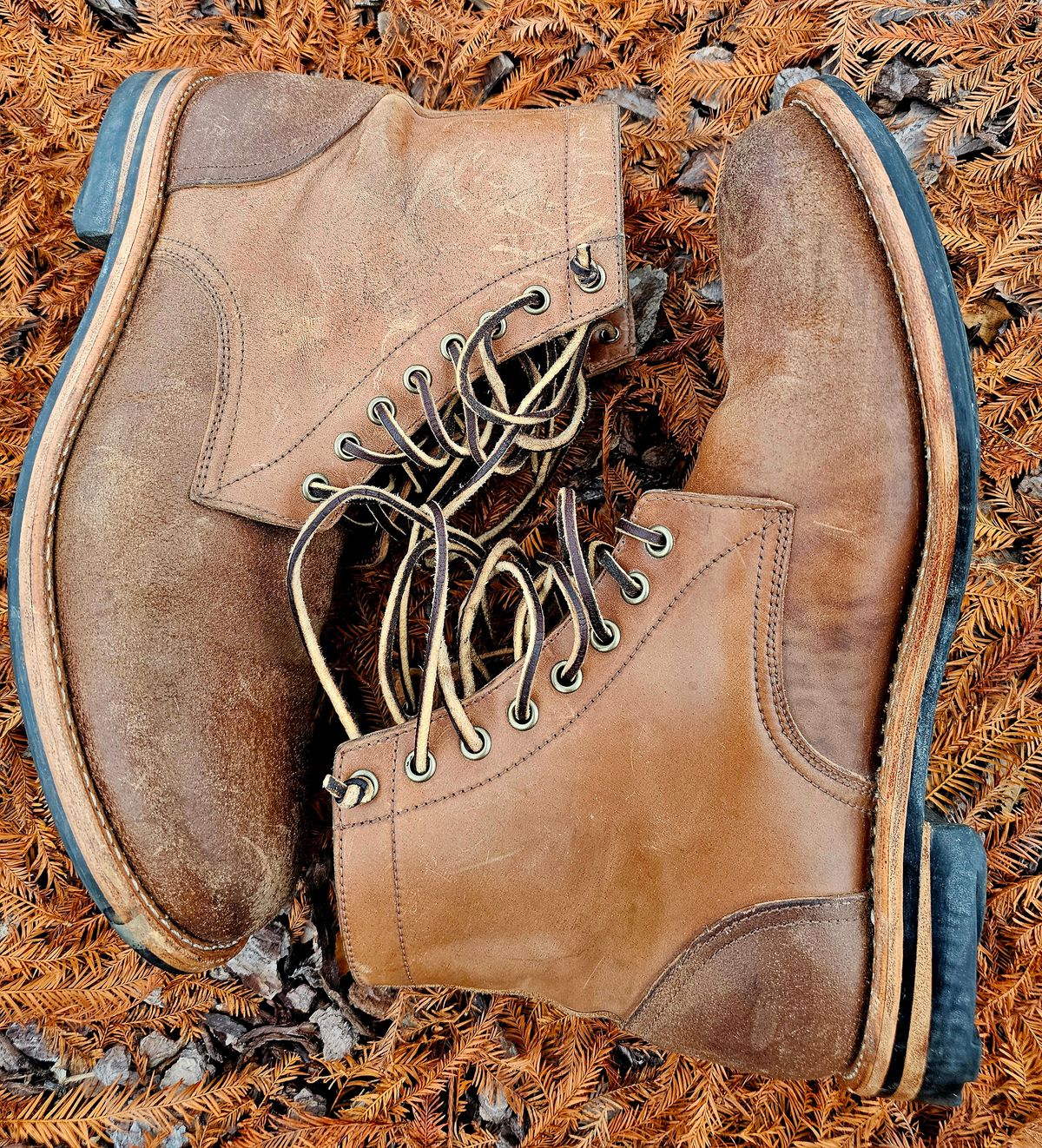 Photo by AlabamaBlacksmith on December 4, 2025 of the Oak Street Bootmakers Field Boot in MARYAM CULLATO CUVALO NATURAL REVERSE HORSE RUMP.