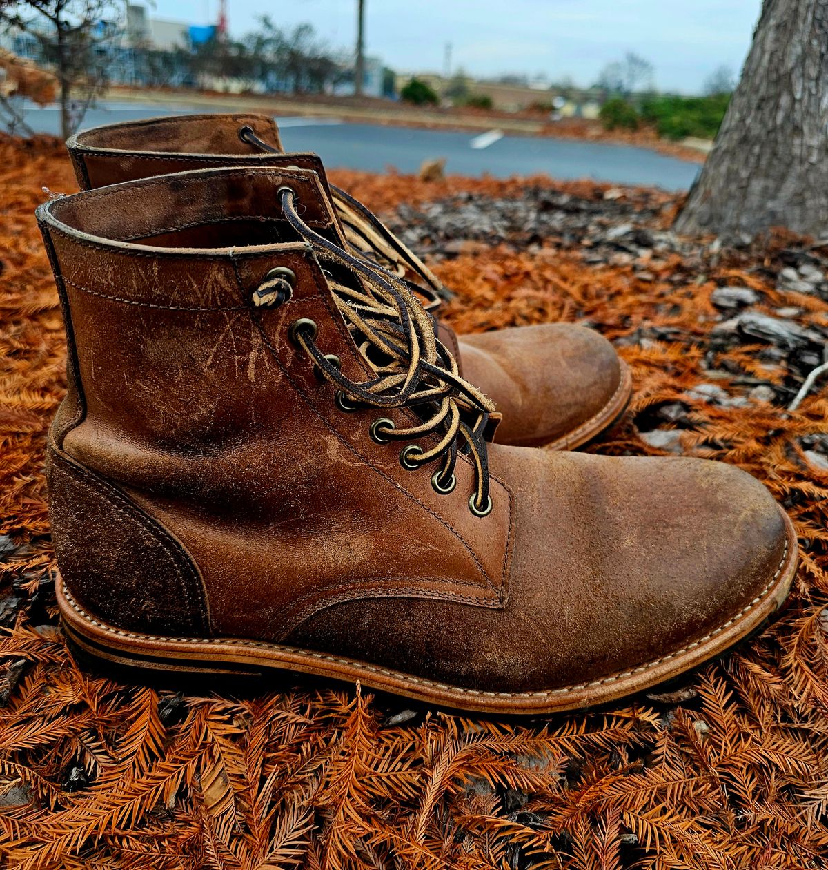 Photo by AlabamaBlacksmith on December 4, 2025 of the Oak Street Bootmakers Field Boot in MARYAM CULLATO CUVALO NATURAL REVERSE HORSE RUMP.