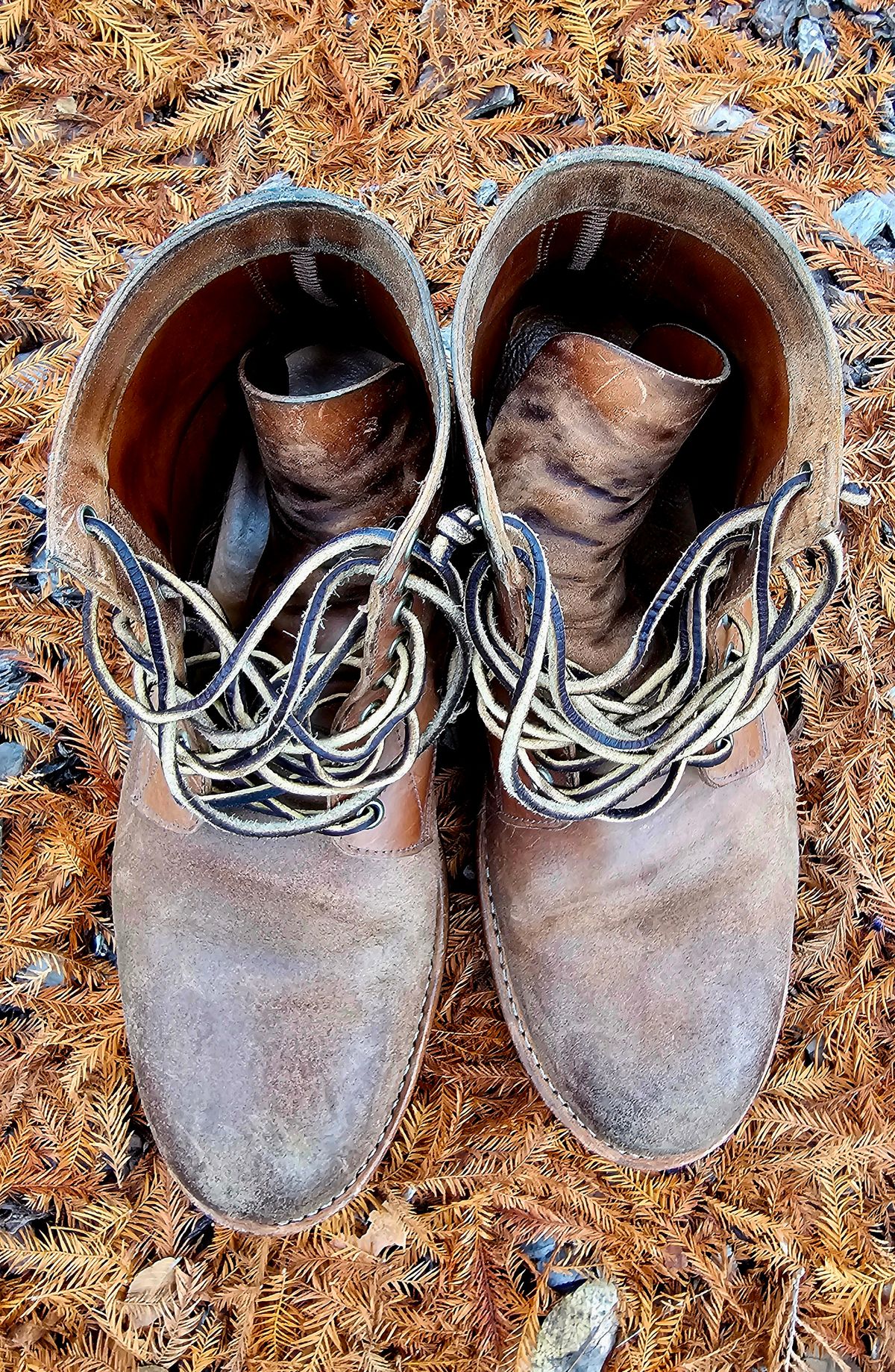Photo by AlabamaBlacksmith on December 4, 2025 of the Oak Street Bootmakers Field Boot in MARYAM CULLATO CUVALO NATURAL REVERSE HORSE RUMP.