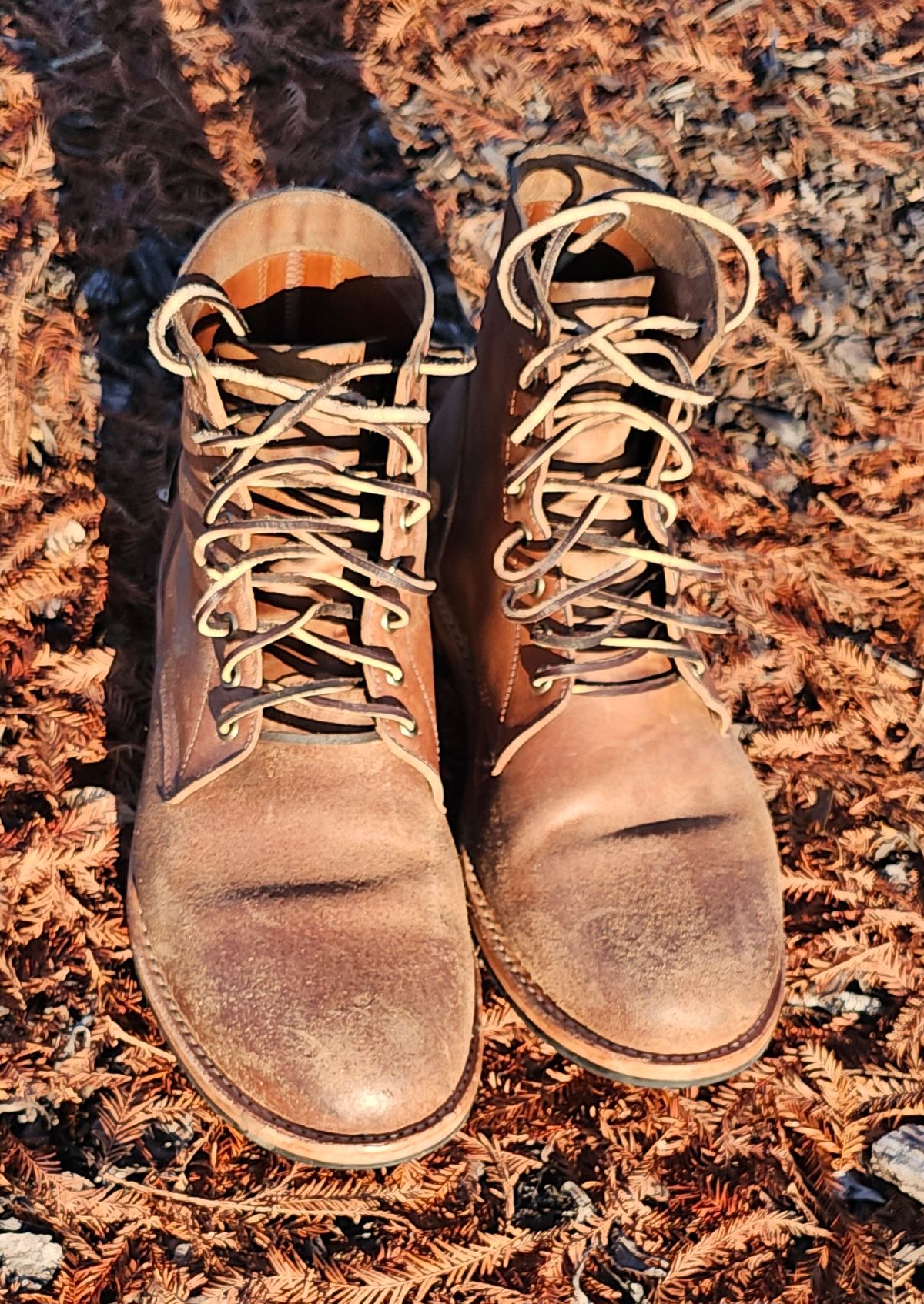 Photo by AlabamaBlacksmith on January 5, 2026 of the Oak Street Bootmakers Field Boot in MARYAM CULLATO CUVALO NATURAL REVERSE HORSE RUMP.
