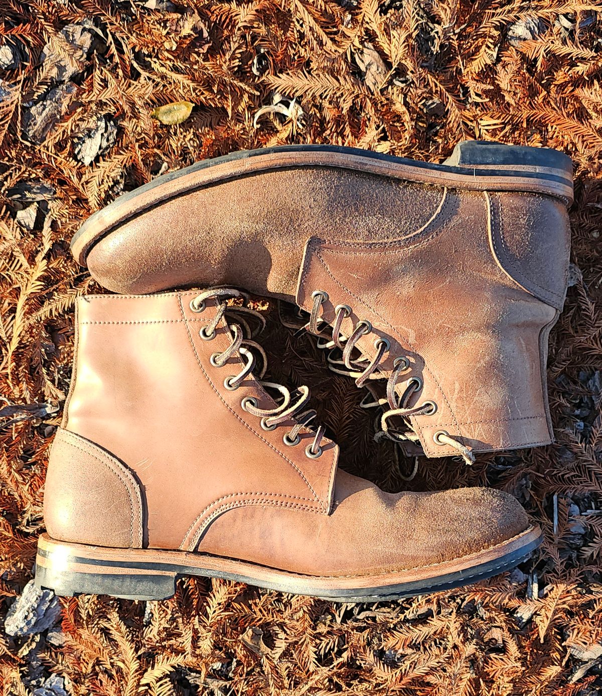 Photo by AlabamaBlacksmith on January 5, 2026 of the Oak Street Bootmakers Field Boot in MARYAM CULLATO CUVALO NATURAL REVERSE HORSE RUMP.