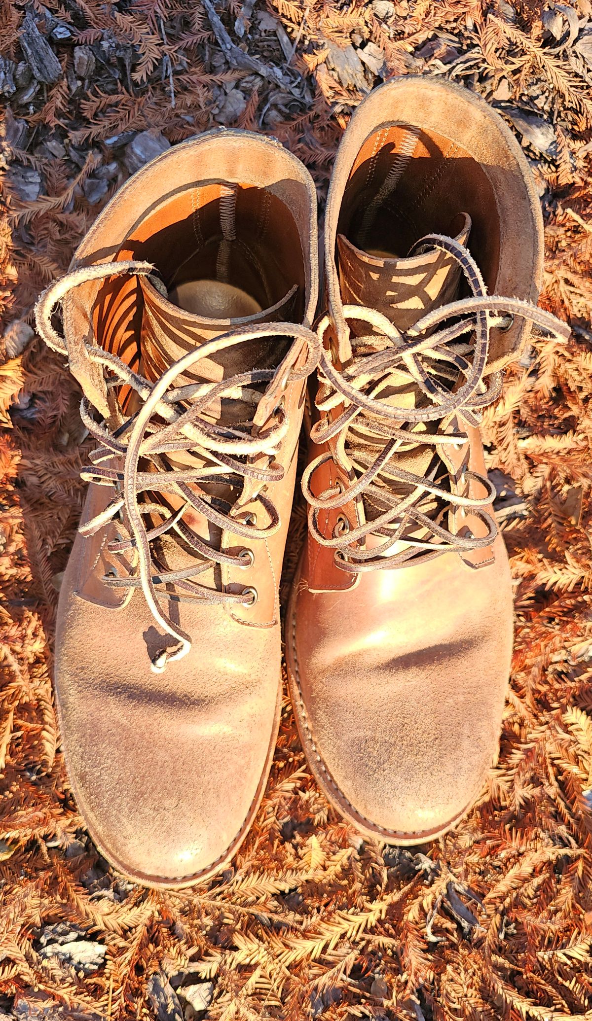 Photo by AlabamaBlacksmith on January 5, 2026 of the Oak Street Bootmakers Field Boot in MARYAM CULLATO CUVALO NATURAL REVERSE HORSE RUMP.