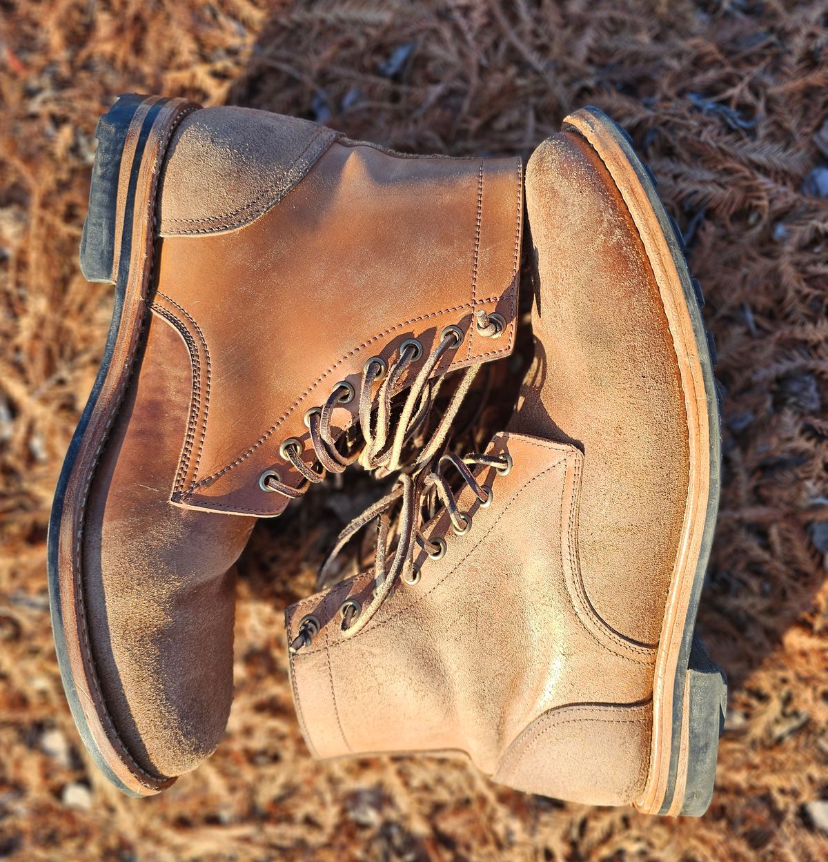 Photo by AlabamaBlacksmith on February 2, 2026 of the Oak Street Bootmakers Field Boot in MARYAM CULLATO CUVALO NATURAL REVERSE HORSE RUMP.