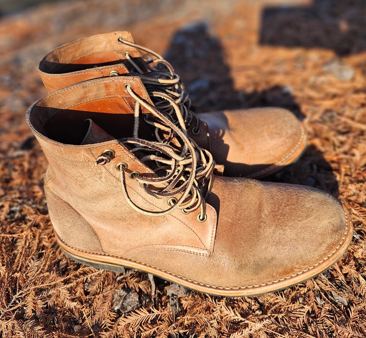 Photo by AlabamaBlacksmith on February 2, 2026 of the Oak Street Bootmakers Field Boot in MARYAM CULLATO CUVALO NATURAL REVERSE HORSE RUMP.