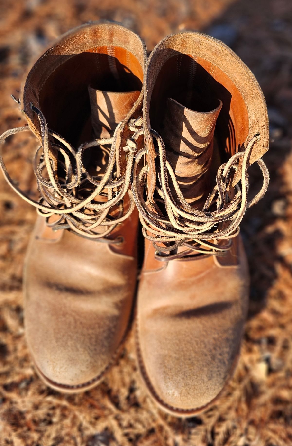 Photo by AlabamaBlacksmith on February 2, 2026 of the Oak Street Bootmakers Field Boot in MARYAM CULLATO CUVALO NATURAL REVERSE HORSE RUMP.