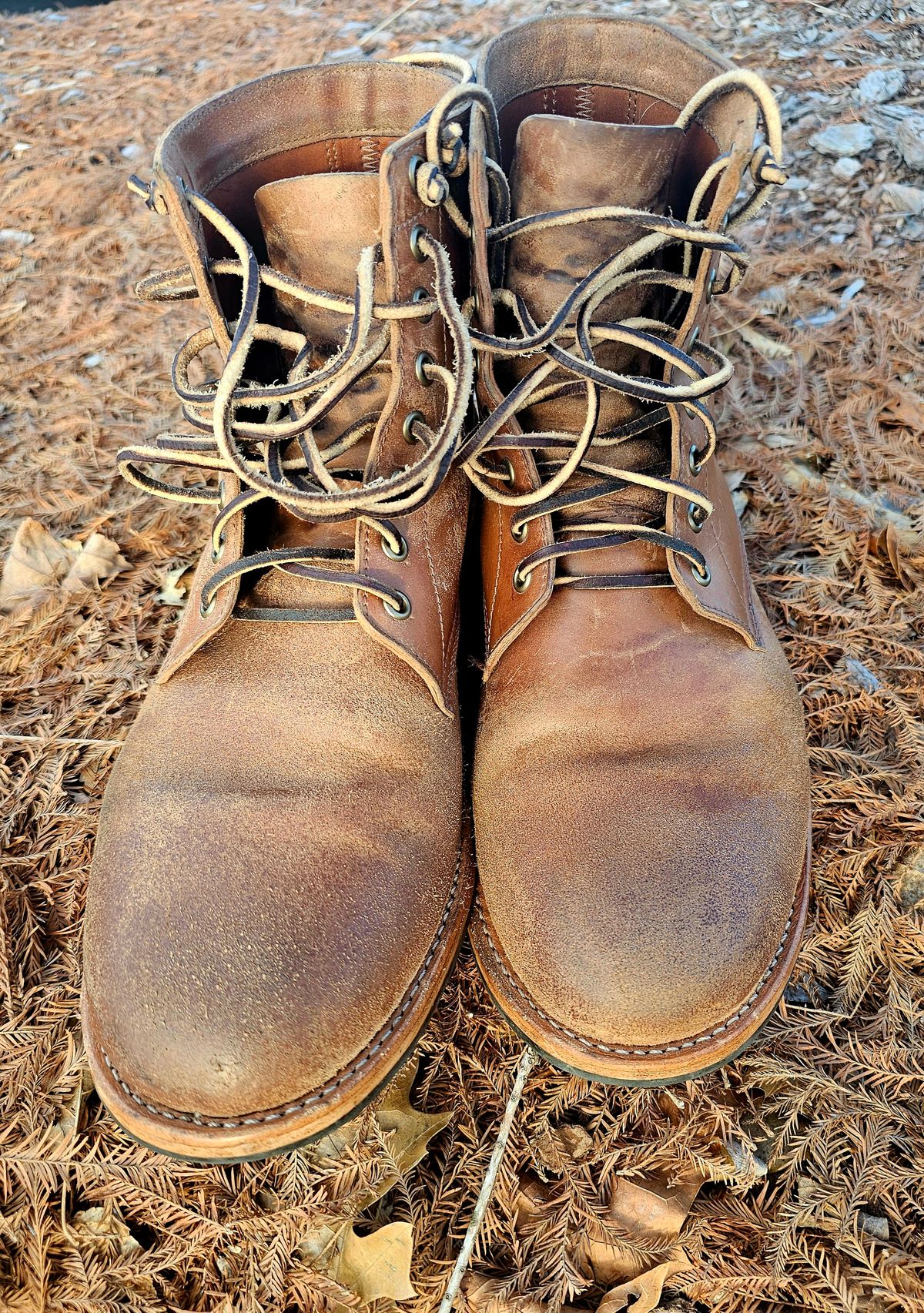Photo by AlabamaBlacksmith on March 3, 2026 of the Oak Street Bootmakers Field Boot in MARYAM CULLATO CUVALO NATURAL REVERSE HORSE RUMP.