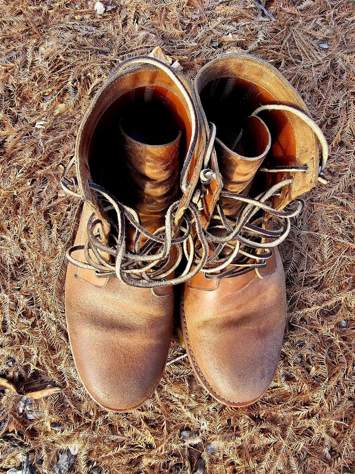 Photo by AlabamaBlacksmith on March 3, 2026 of the Oak Street Bootmakers Field Boot in MARYAM CULLATO CUVALO NATURAL REVERSE HORSE RUMP.
