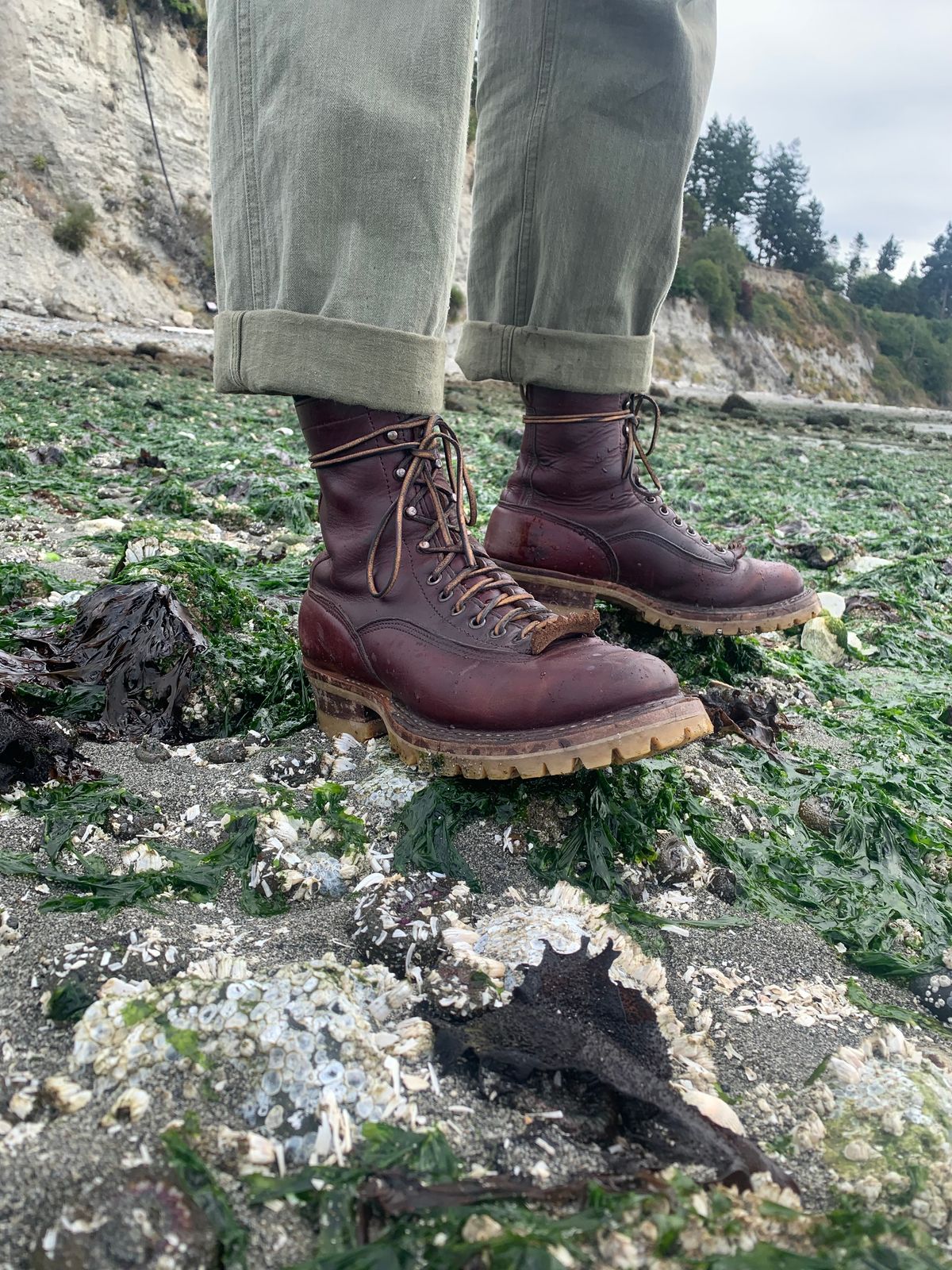 Photo by brooklyn_bb on September 5, 2021 of the White's Bounty Hunter in Horween Color 8 Chromexcel.