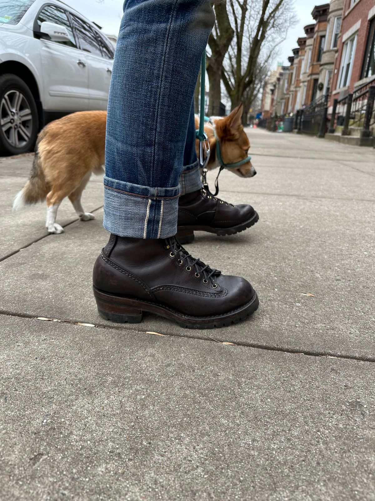 Photo by brooklyn_bb on December 22, 2022 of the Wesco Highliner in brown (polished black).